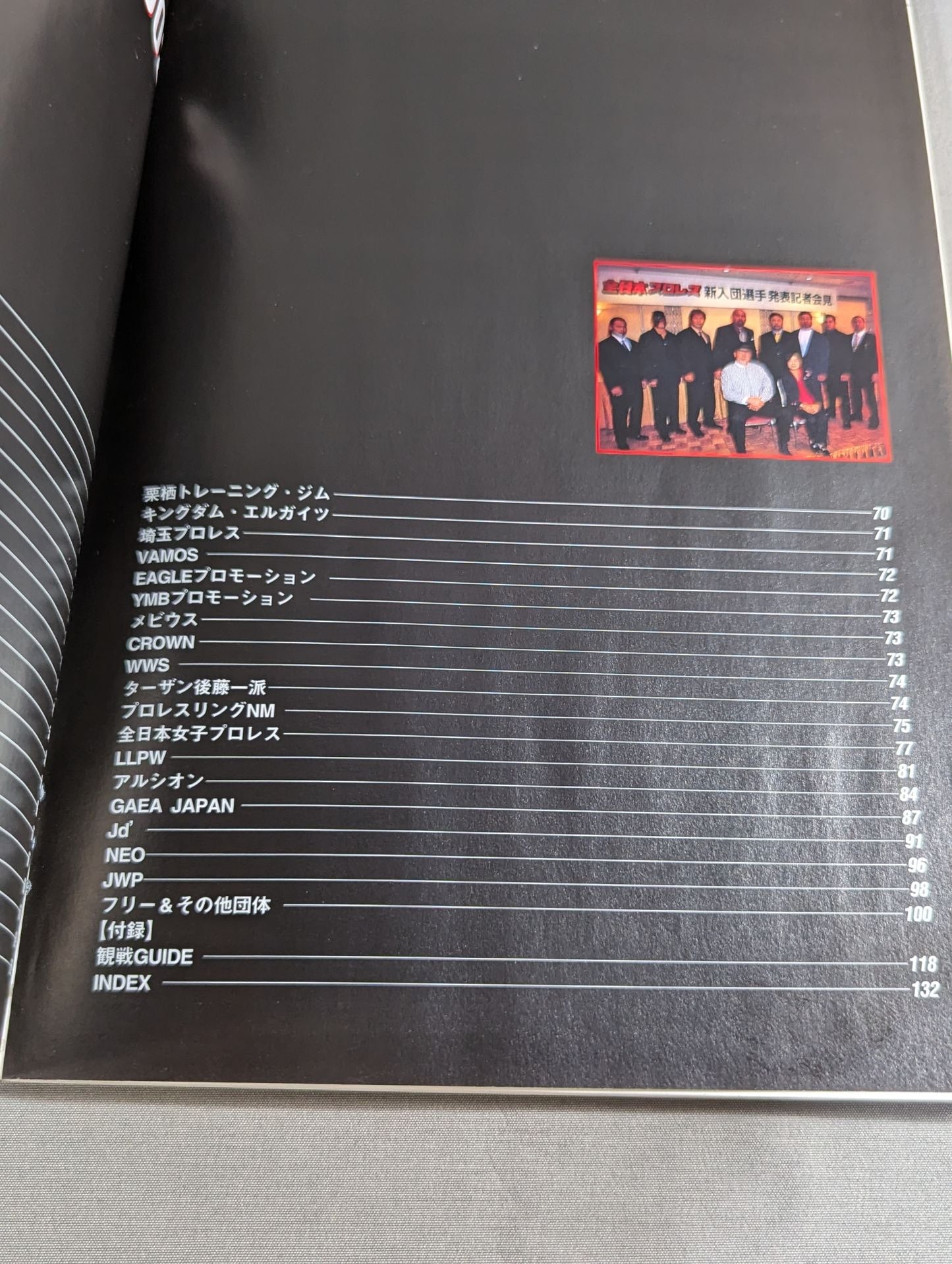 プロレスラー カラー写真名鑑2002 増補改訂版