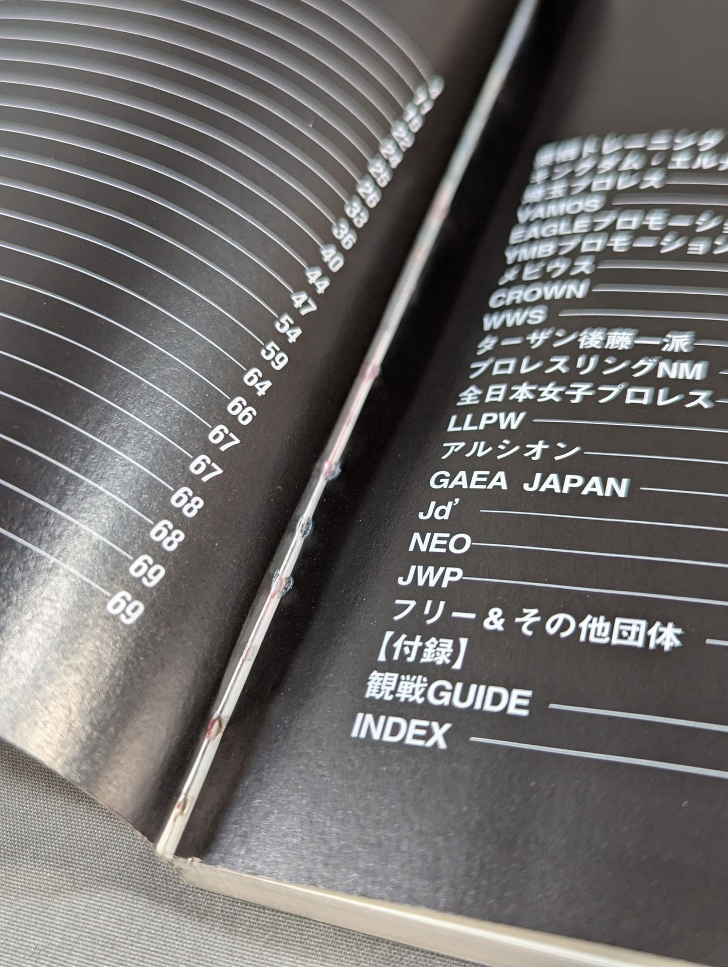 プロレスラー カラー写真名鑑2002 増補改訂版