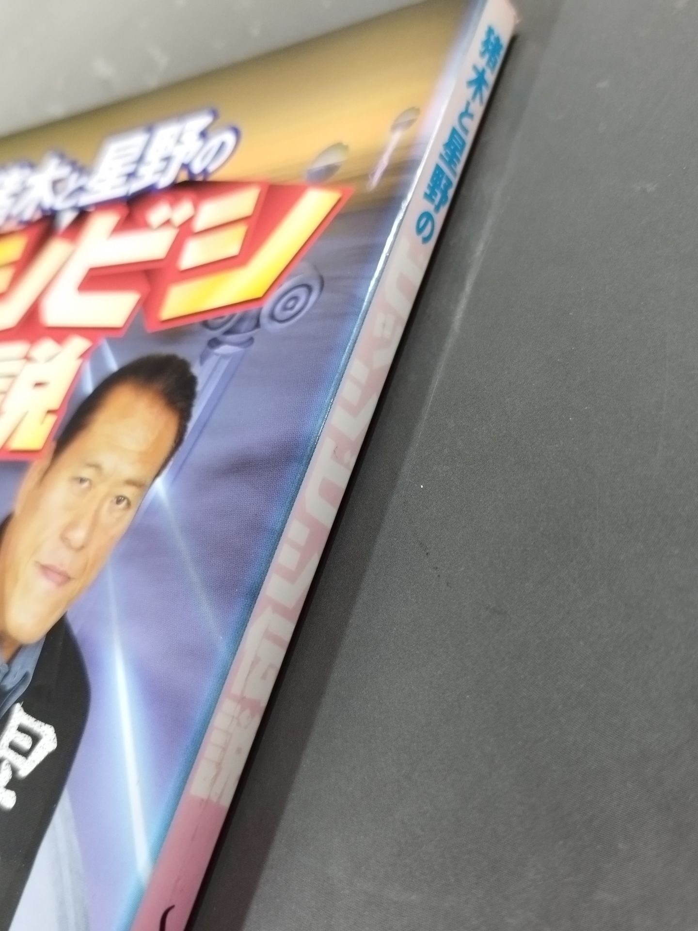 Inoki and Hoshino's Legend of Bishibishi ~Kantaro HoshinoThe Truth of ~