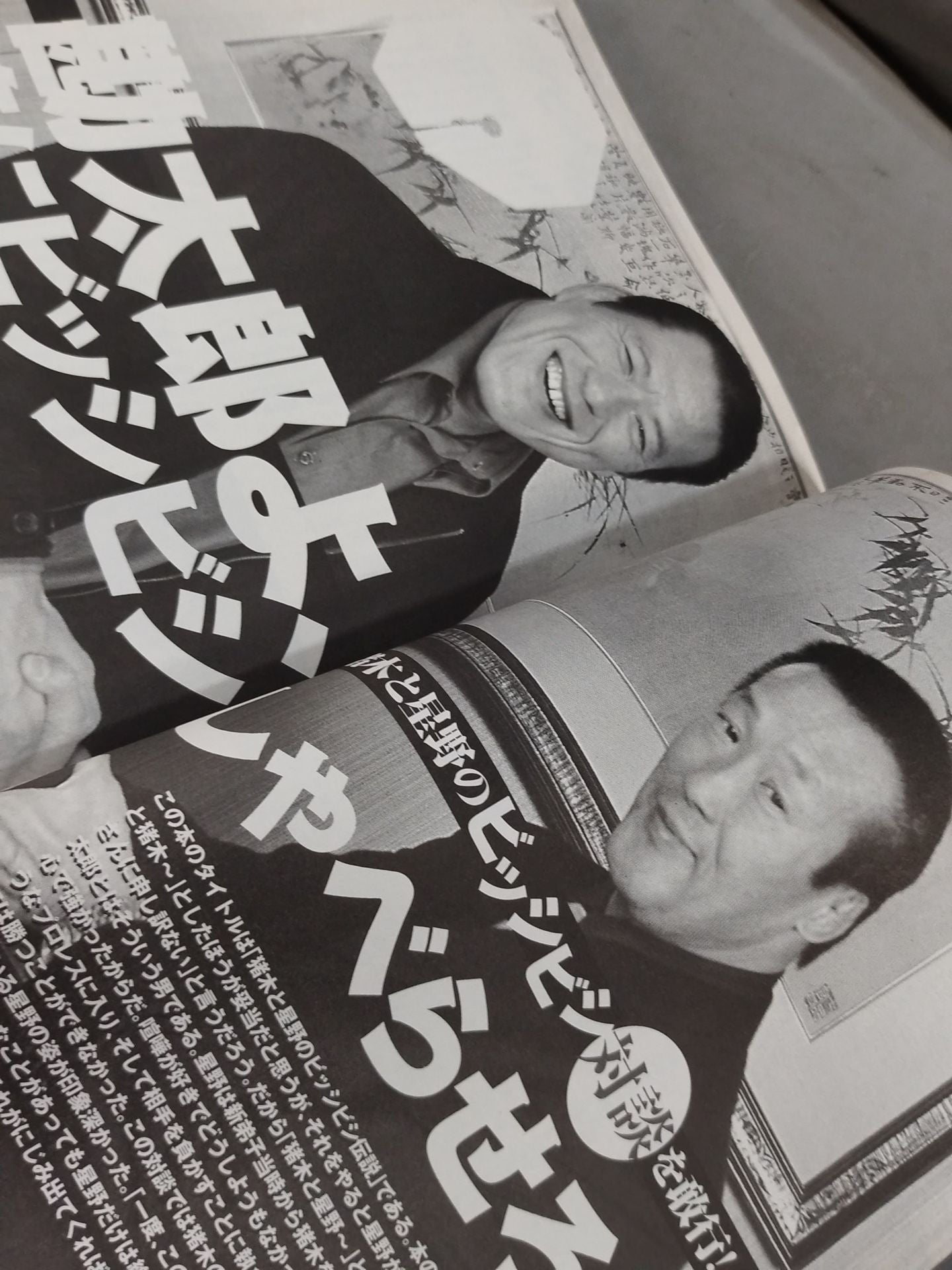 Inoki and Hoshino's Legend of Bishibishi ~Kantaro HoshinoThe Truth of ~