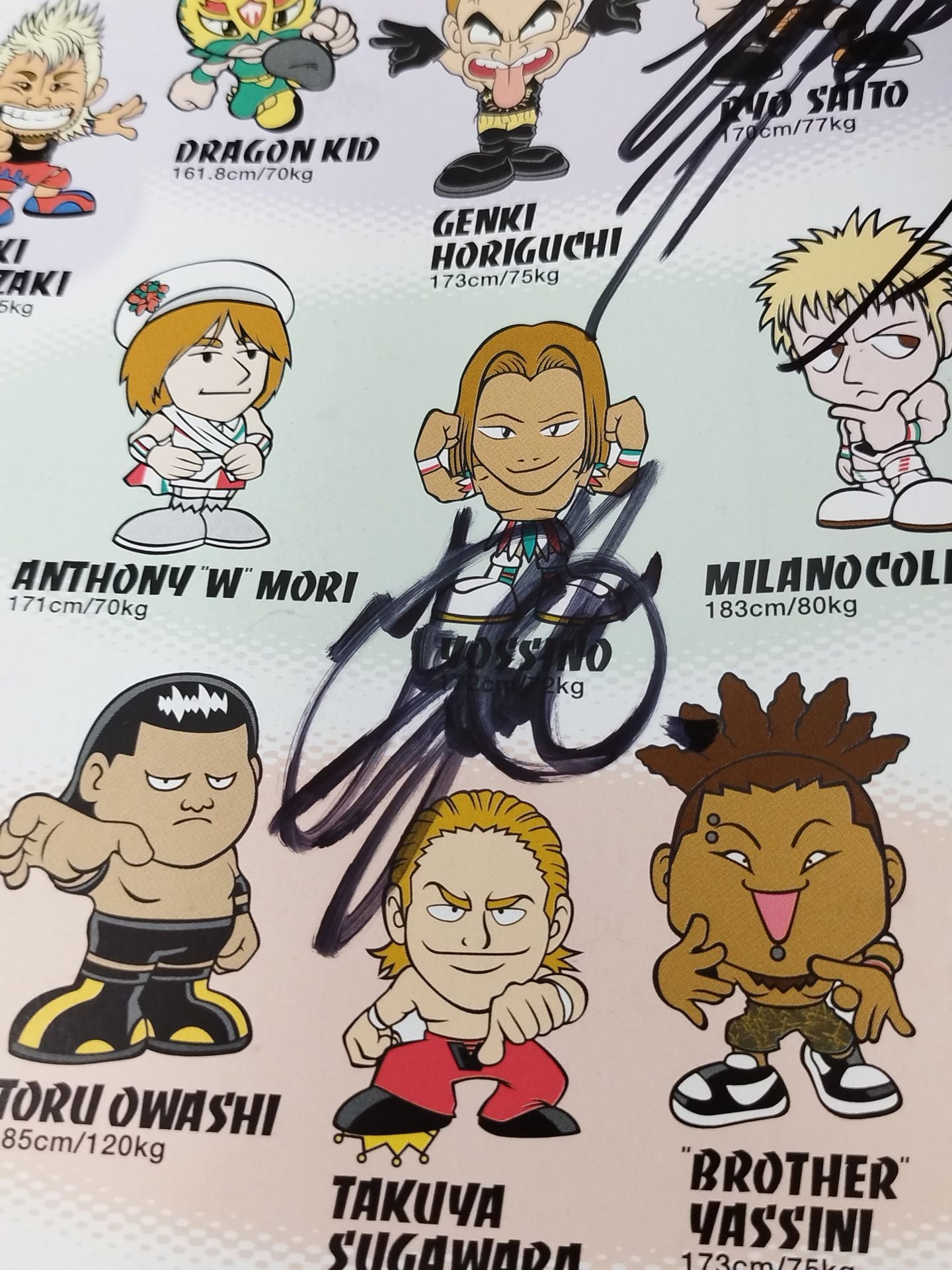 [6 fighters hand signed autograph DRAGON GATE Official Book