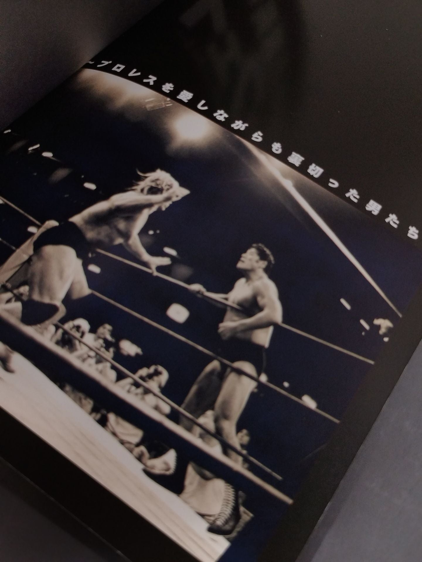 プロレス八百長伝説ケーフェイ プロレスを愛しながらも裏切った男たち