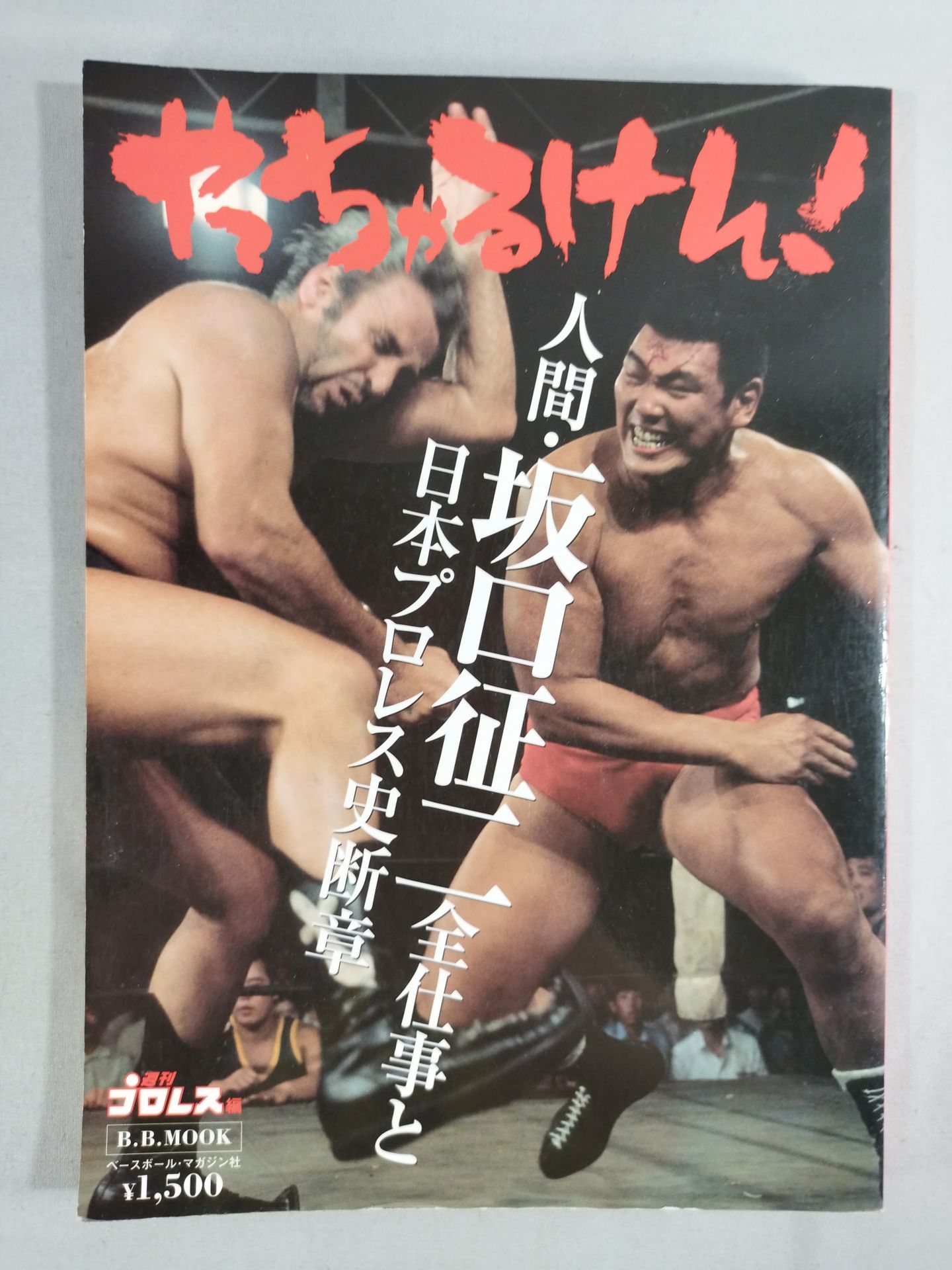 やっちゃるけん!~人間・坂口征二全仕事と日本プロレス史断章~