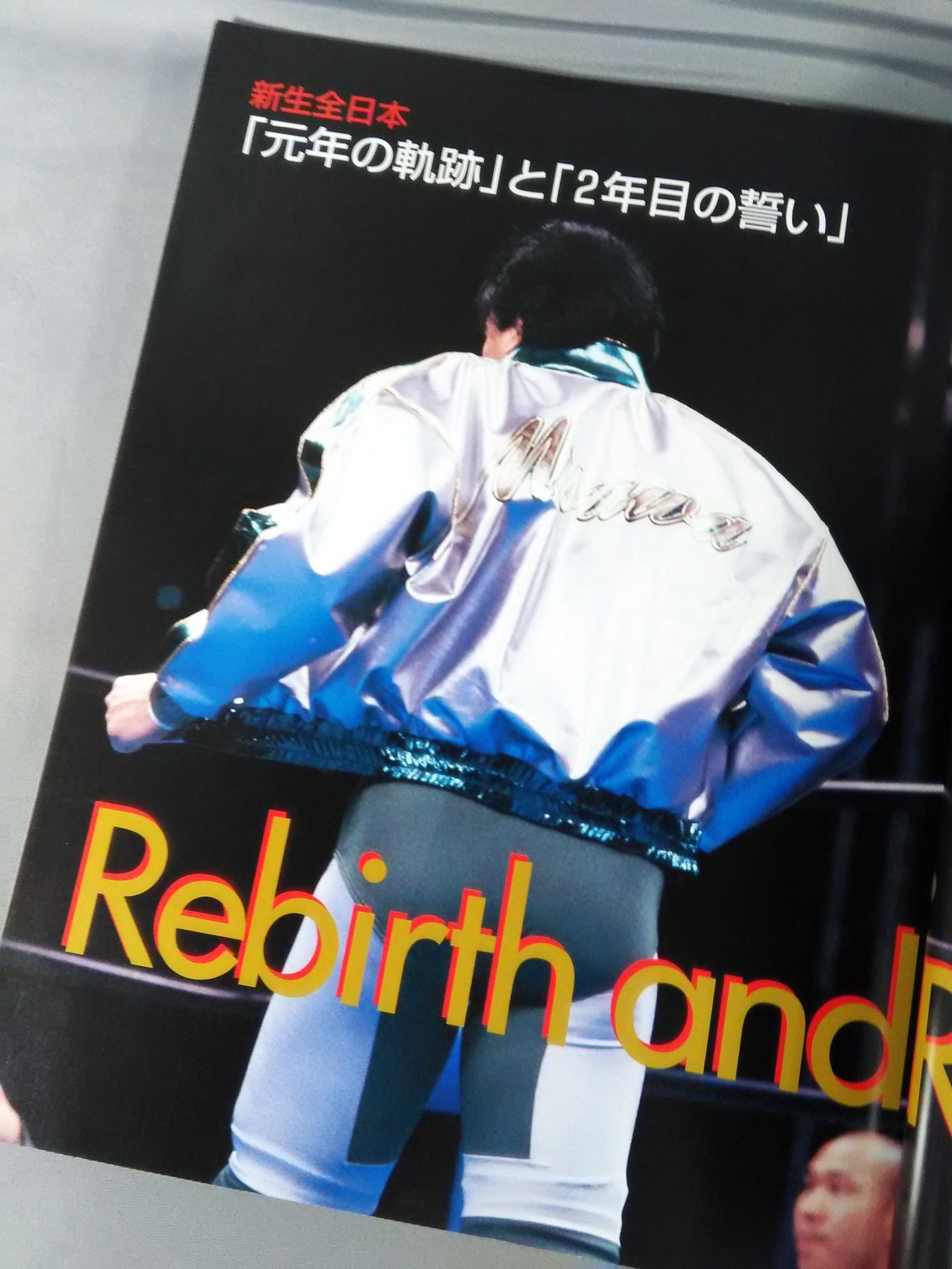 All Japan Pro Wrestling 2000 Yearbook