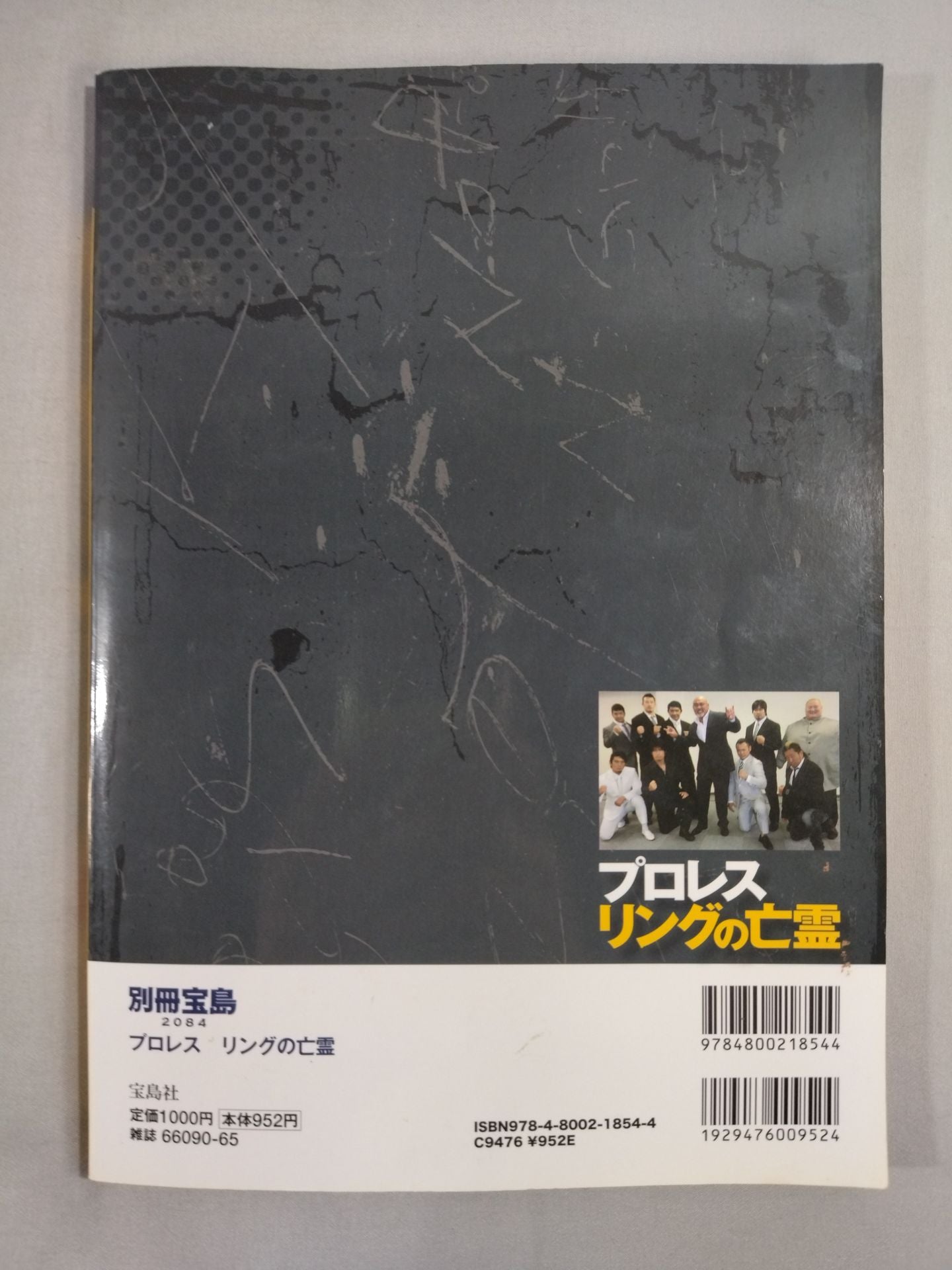 別冊宝島2084 プロレス リングの亡霊