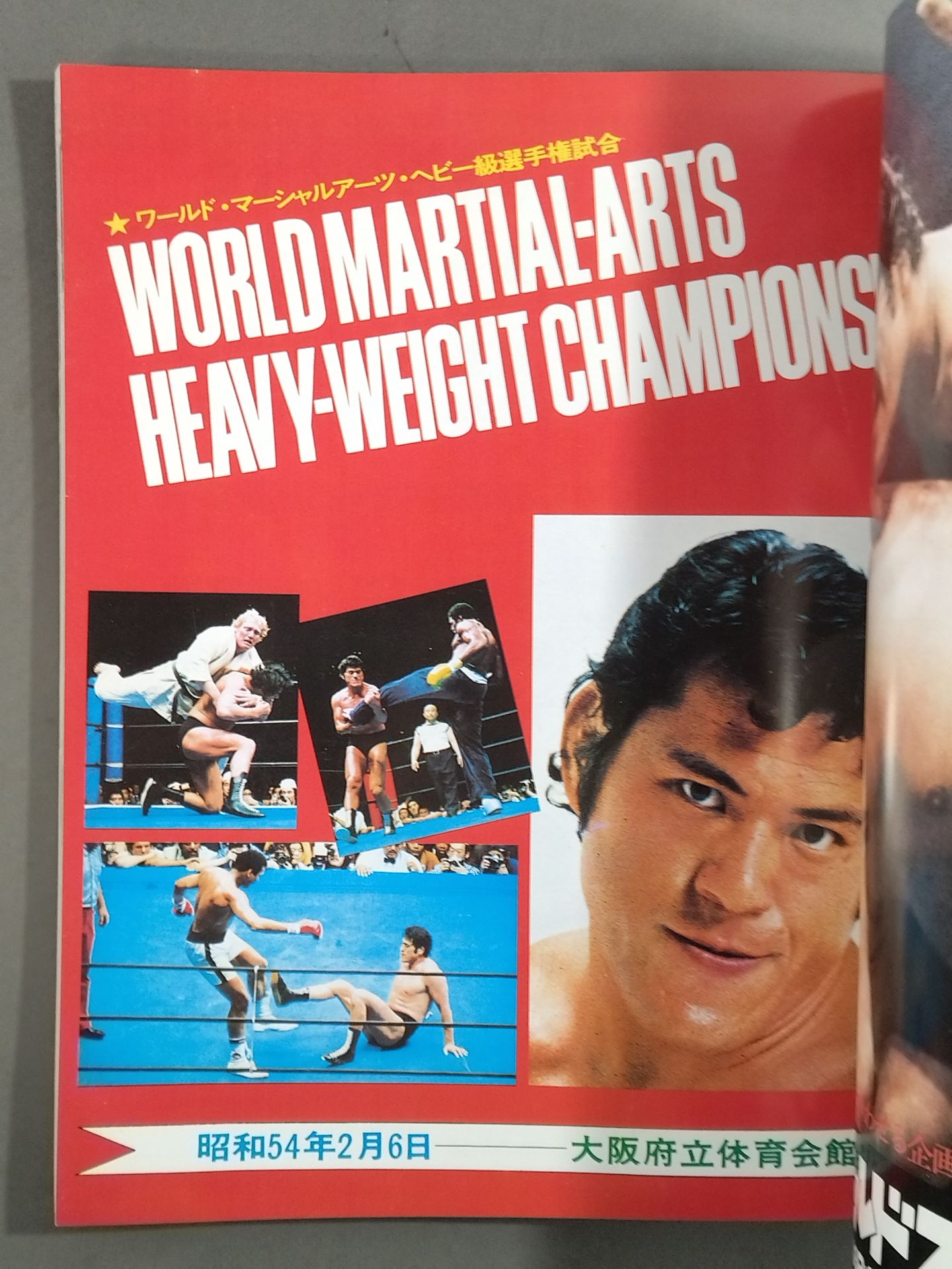 Burning Fighting Spirit New Japan Pro Wrestling Pro-wrestling 30th Anniversary Publication Project Official Reprint Pamphlet Series Martial Arts World Championship Fight