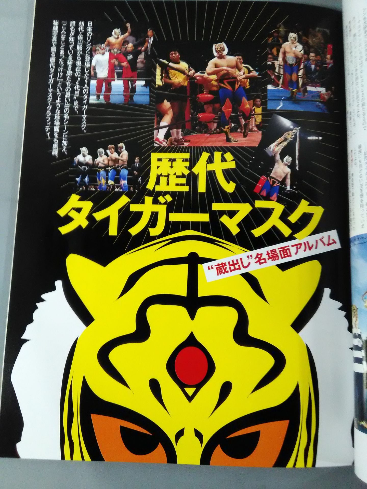 The Mystery and Truth of The Masked Man World "Masked Wrestler"