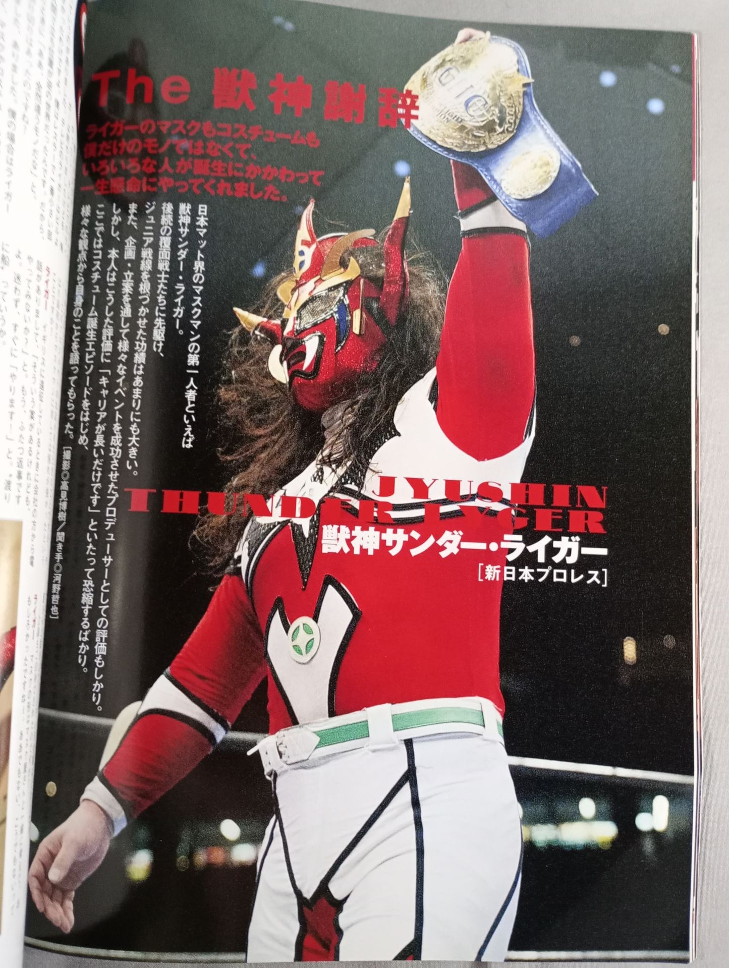 The Mystery and Truth of The Masked Man World "Masked Wrestler"