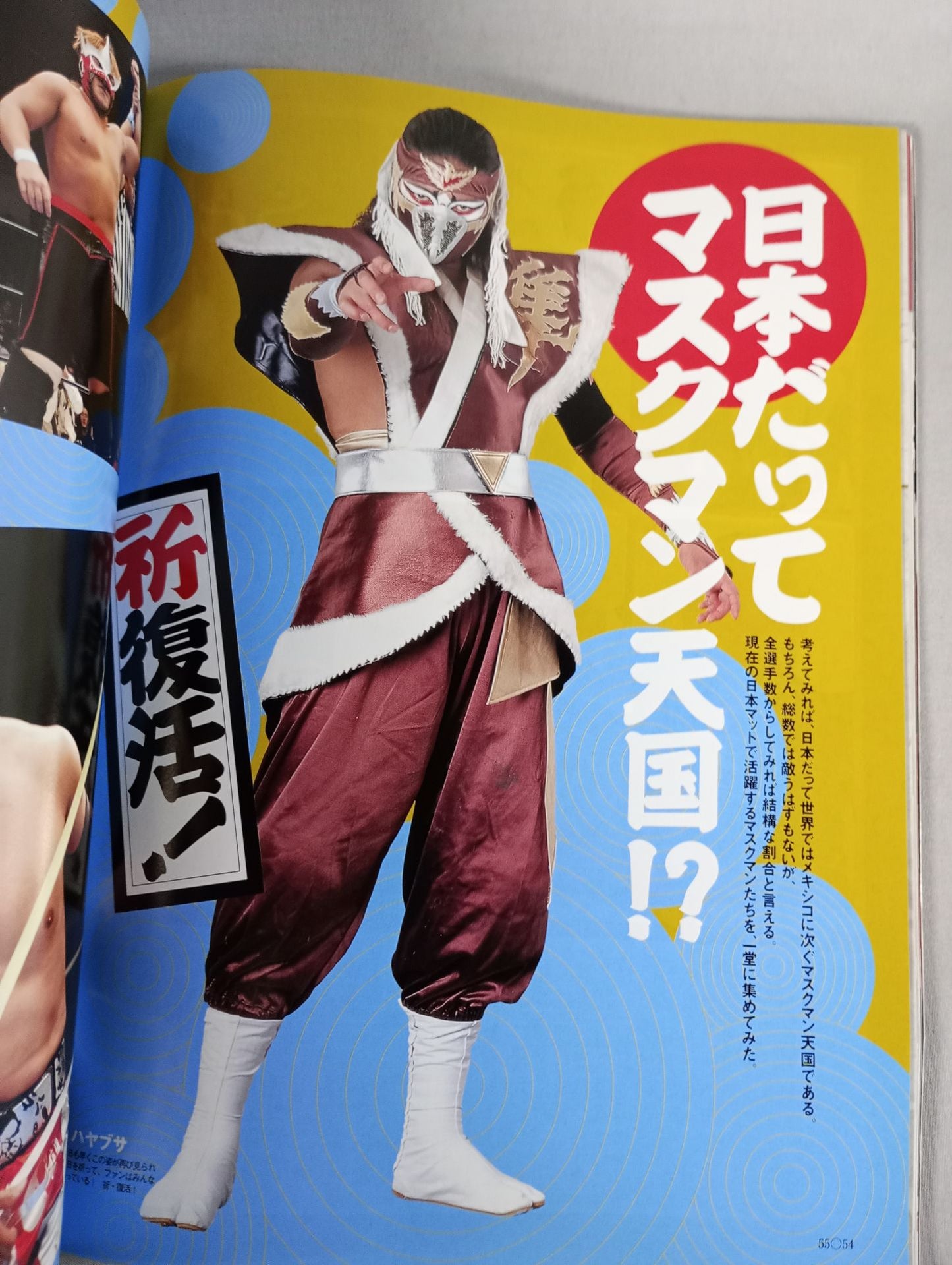 The Mystery and Truth of The Masked Man World "Masked Wrestler"