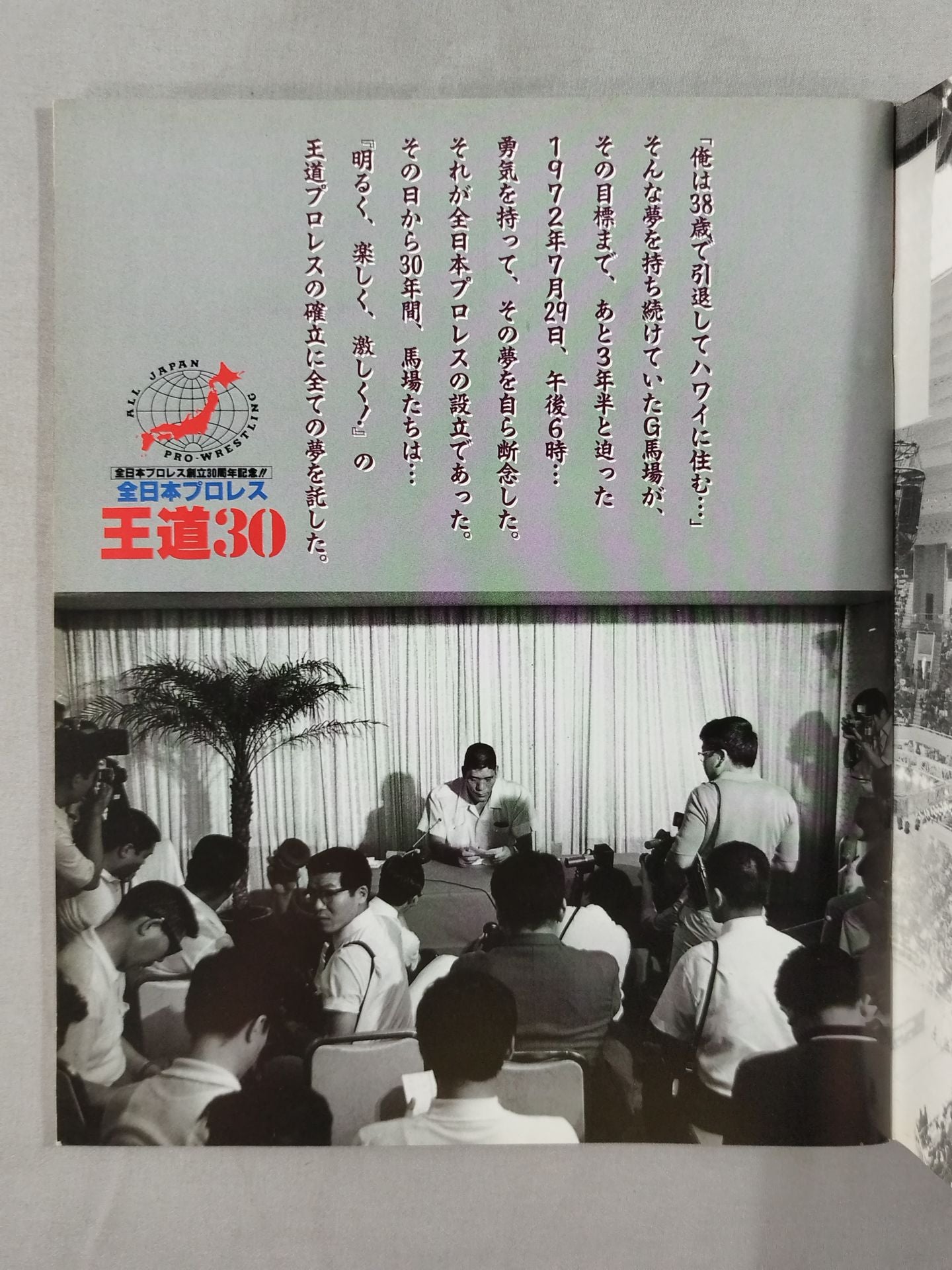 全日本プロレス 王道30 ~名勝負・名場面・感動の歴史~