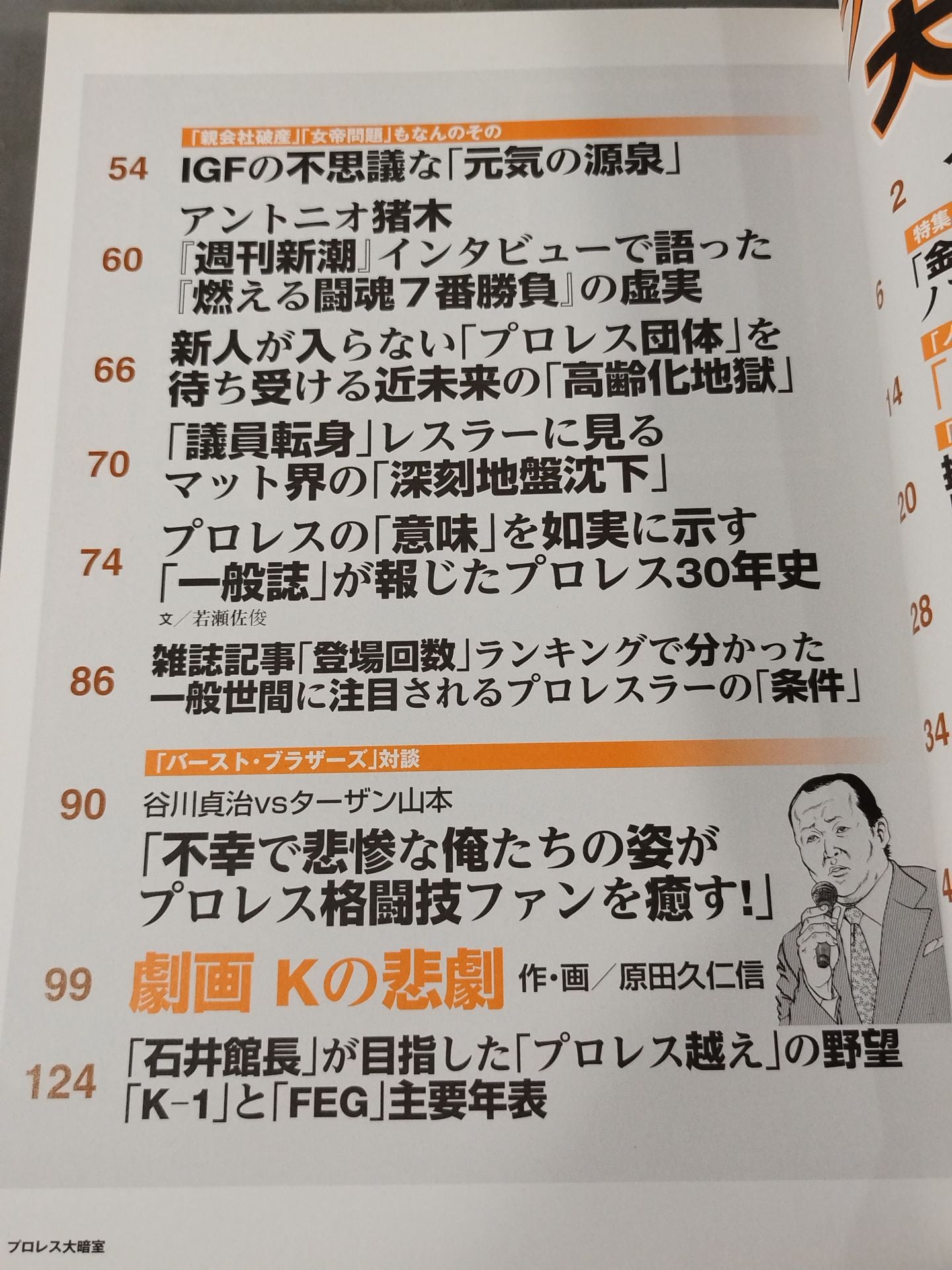 別冊宝島1914 プロレス大暗室 業界に流れるノア「年内解散説」