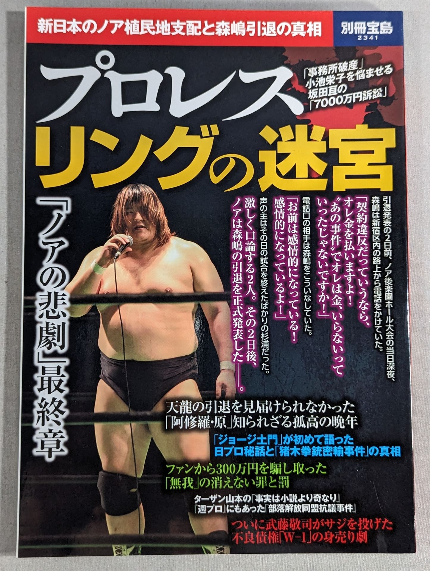 別冊宝島2341 プロレス リングの迷宮 新日本のノア植民地支配と森嶋引退の真相