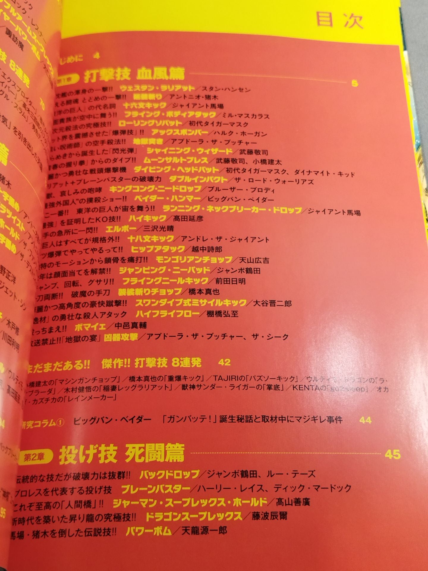実録!! プロレス必殺技大図鑑