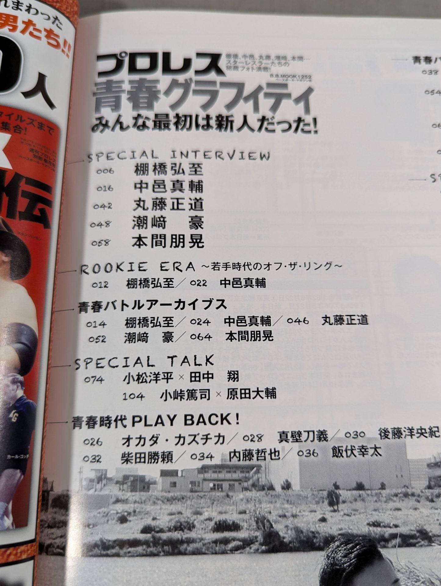 プロレス青春グラフィティ