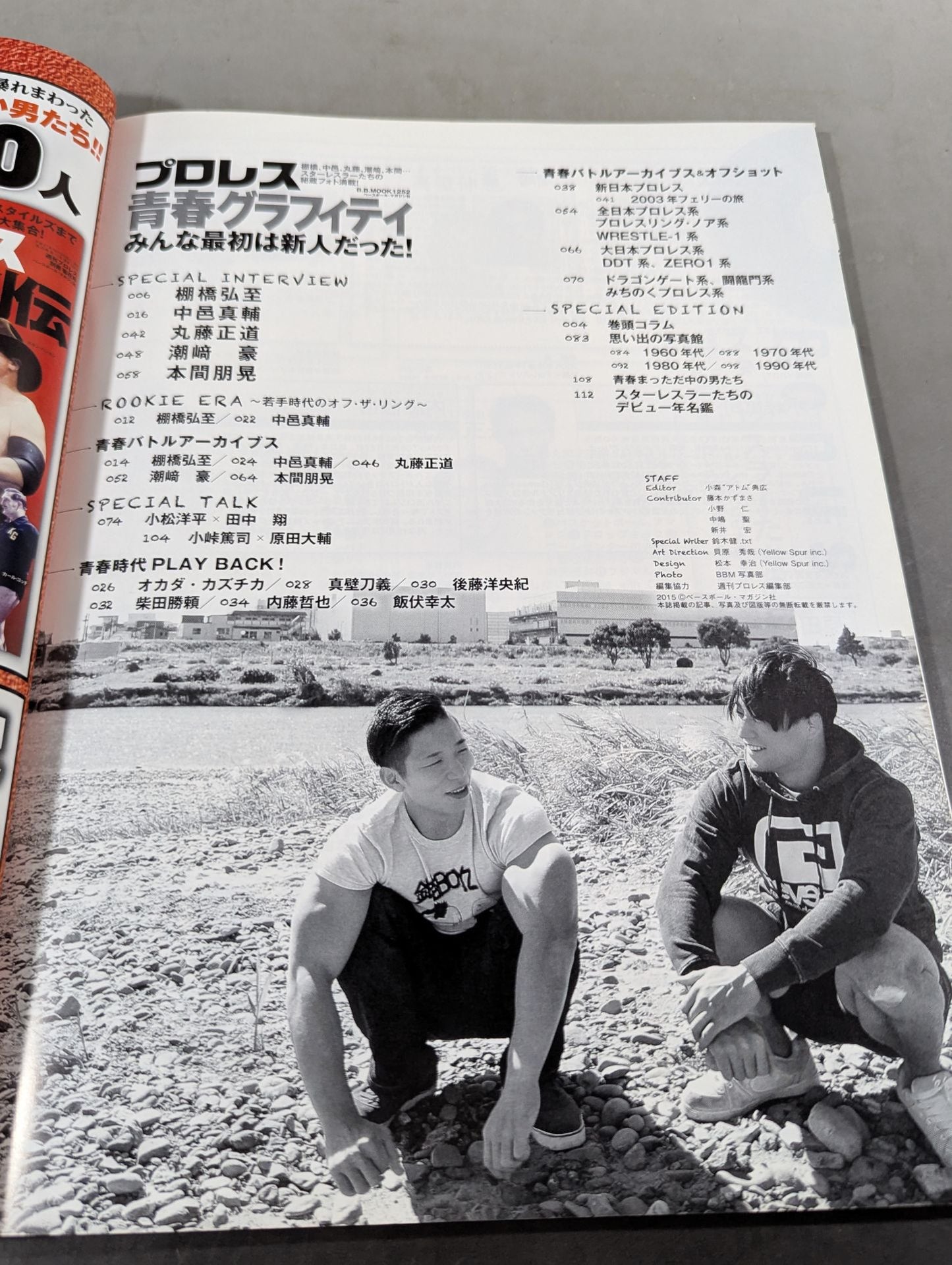 Pro Wrestling Youth Graffiti