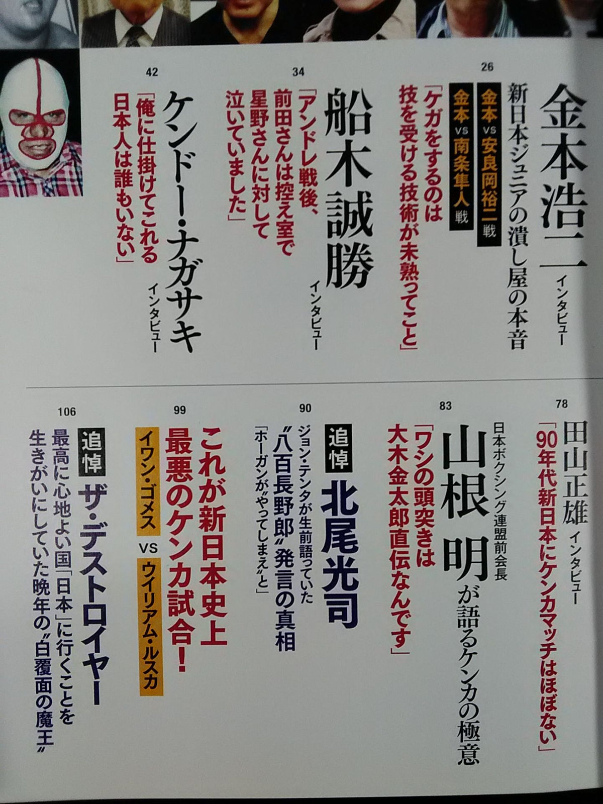 Series Paradoxical Pro Wrestling Vol.14 New Japan Pro Wrestling The truth behind the "rule-breaking fighting match"