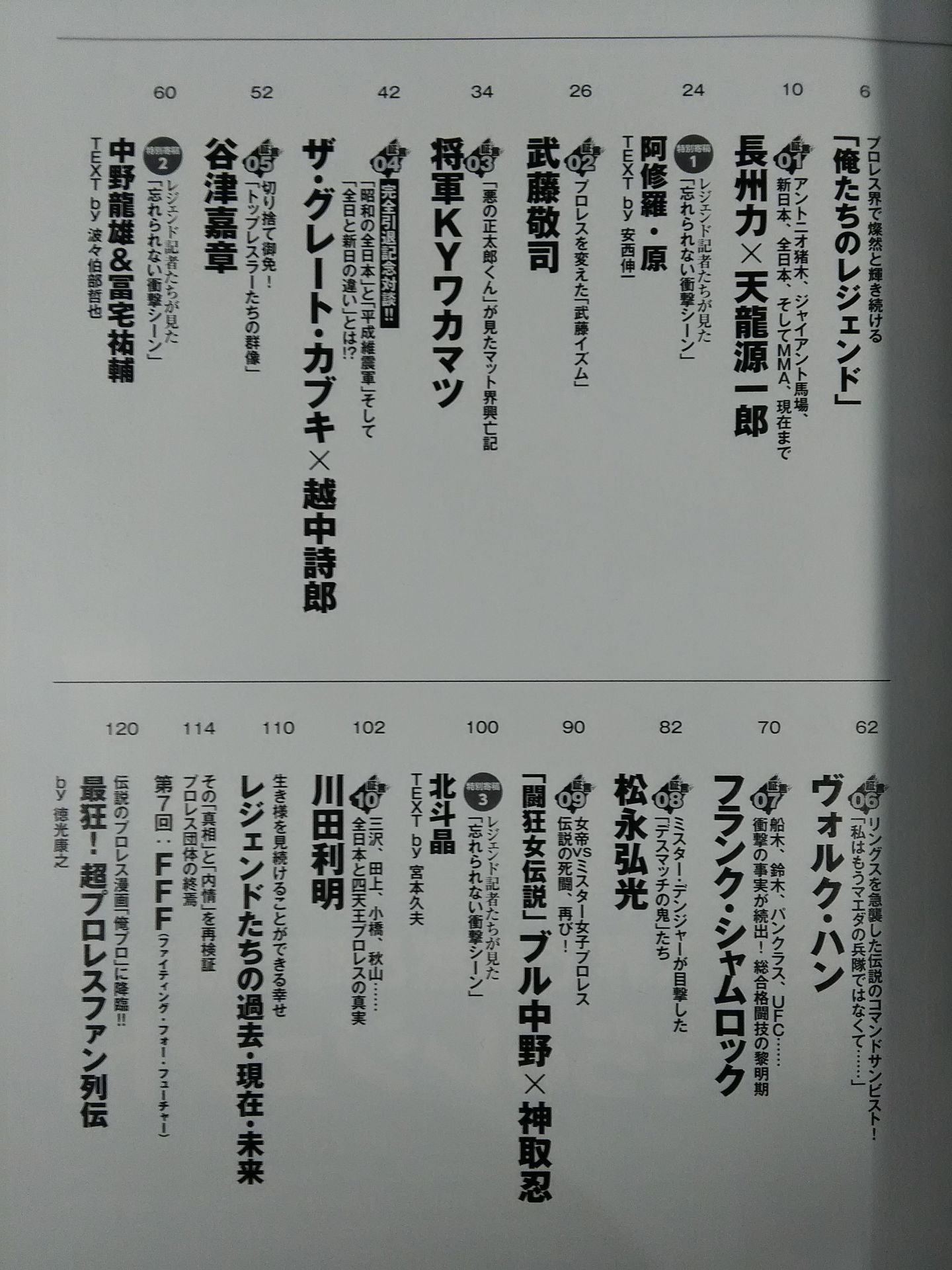 俺たちのプロレス Vol.9 今だから明かせる!レジェンドたちの13名の「証言」 長州力×天龍源一郎