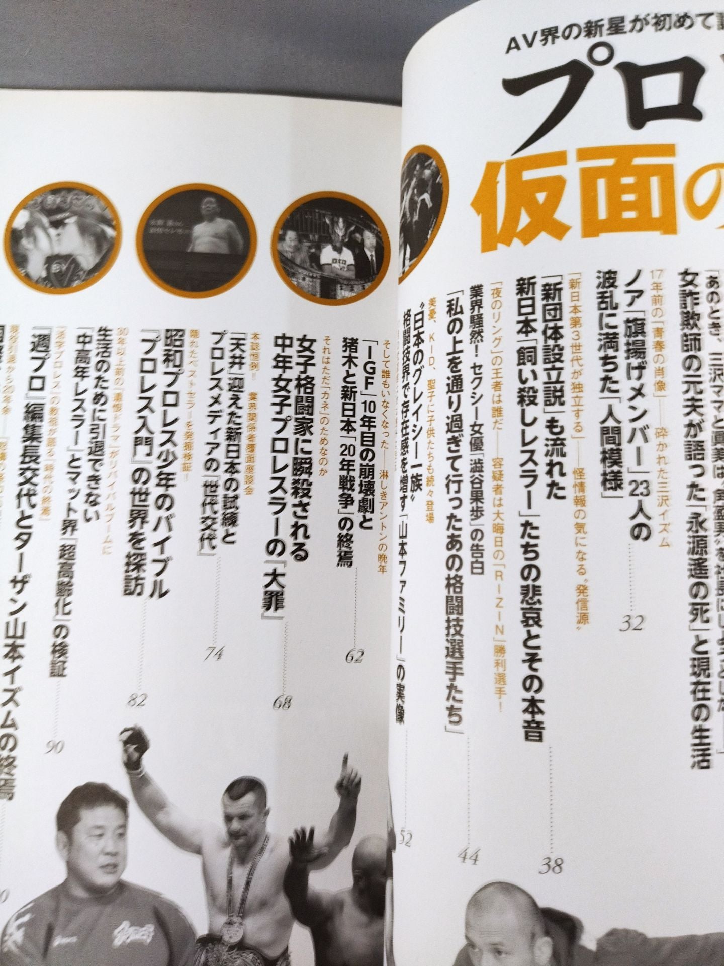 別冊宝島2543 プロレス 仮面の告白 AV界の新星が初めて語った「夜の格闘技」全貌