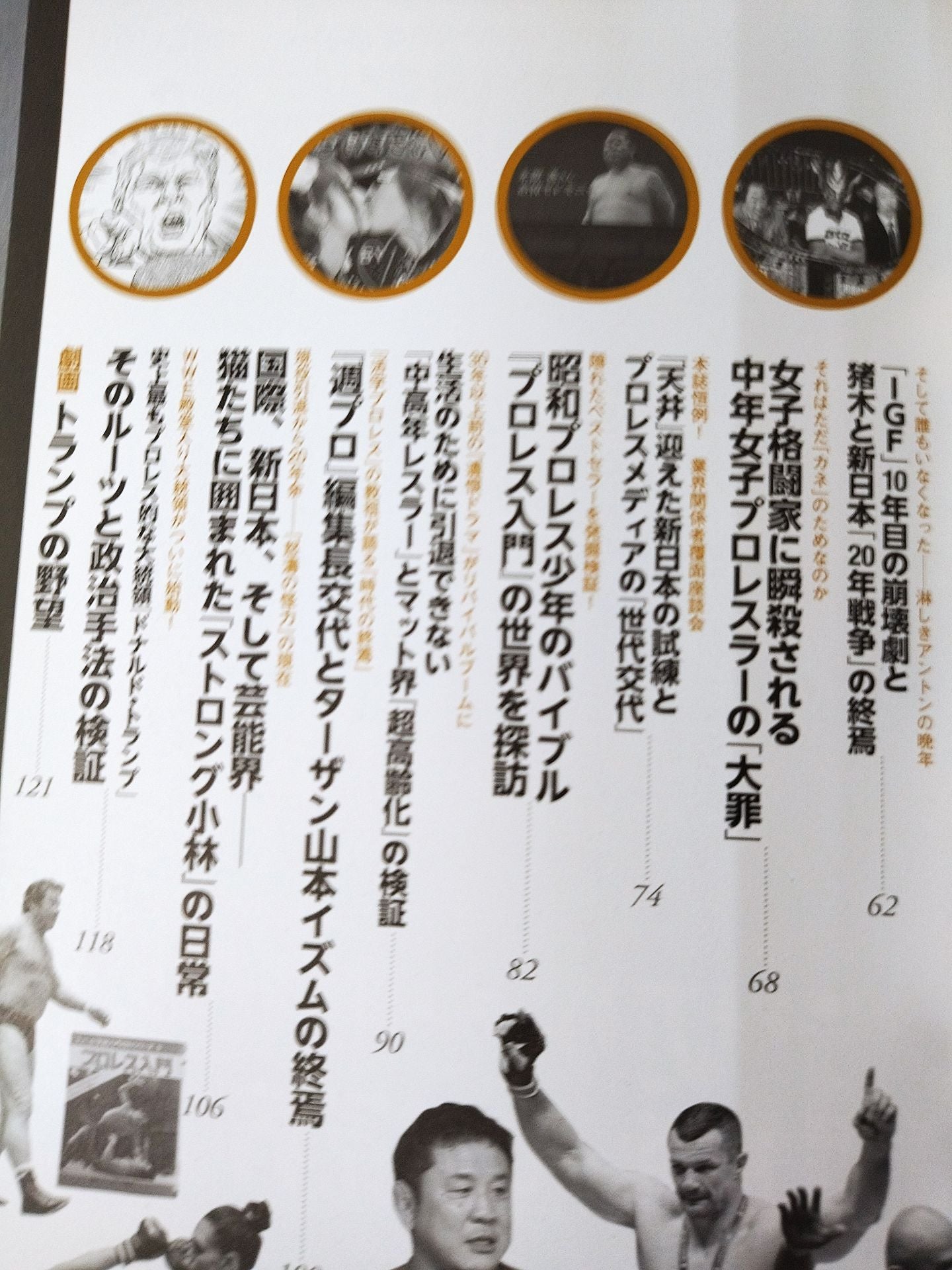 別冊宝島2543 プロレス 仮面の告白 AV界の新星が初めて語った「夜の格闘技」全貌
