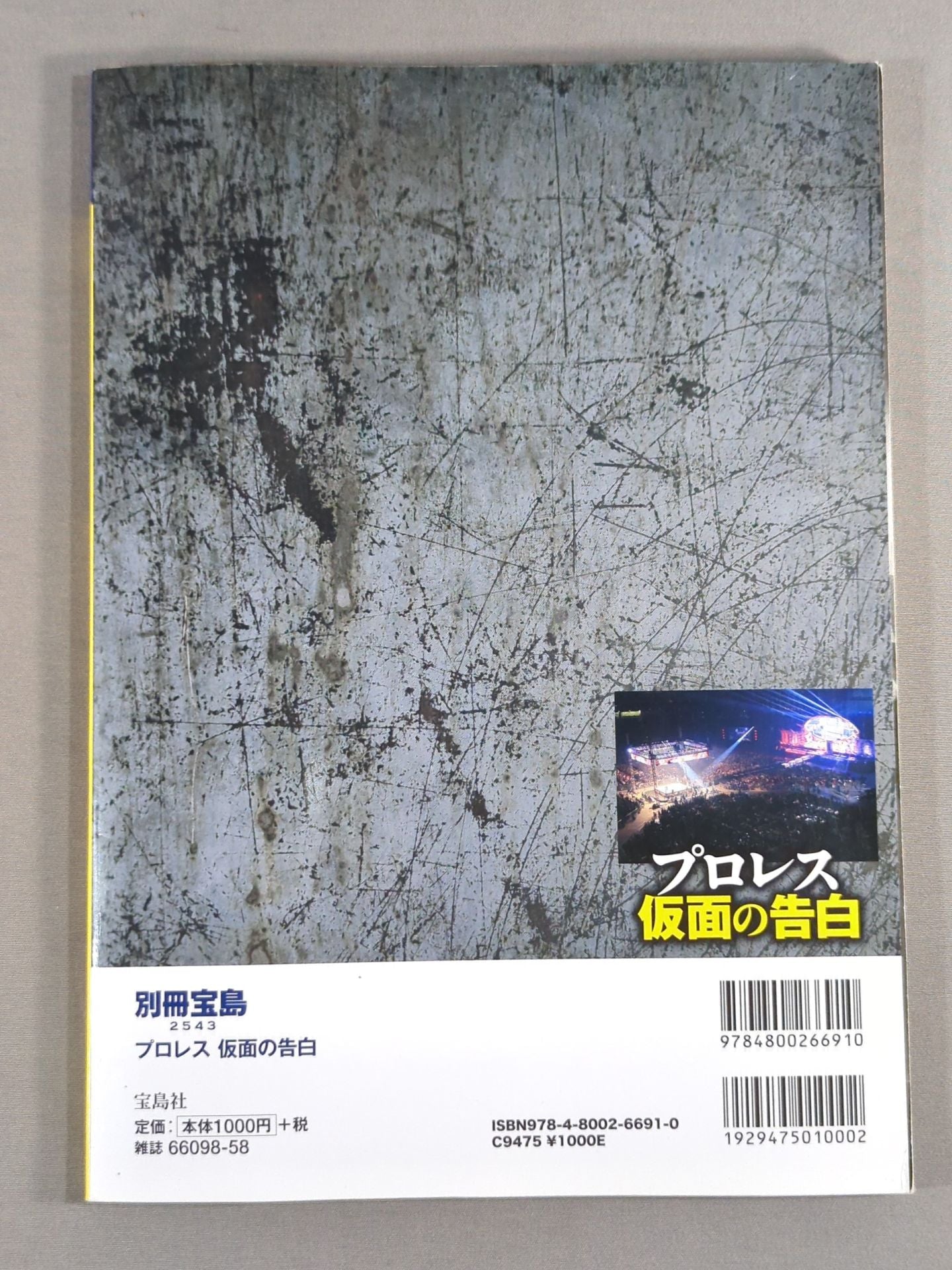 別冊宝島2543 プロレス 仮面の告白 AV界の新星が初めて語った「夜の格闘技」全貌
