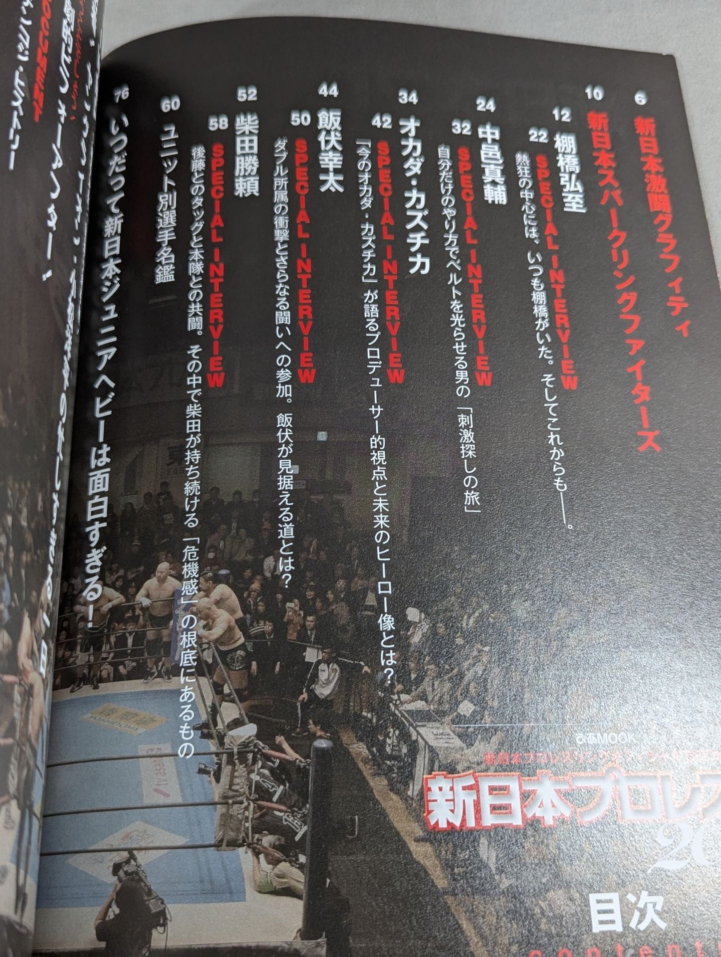 新日本プロレスぴあ2015