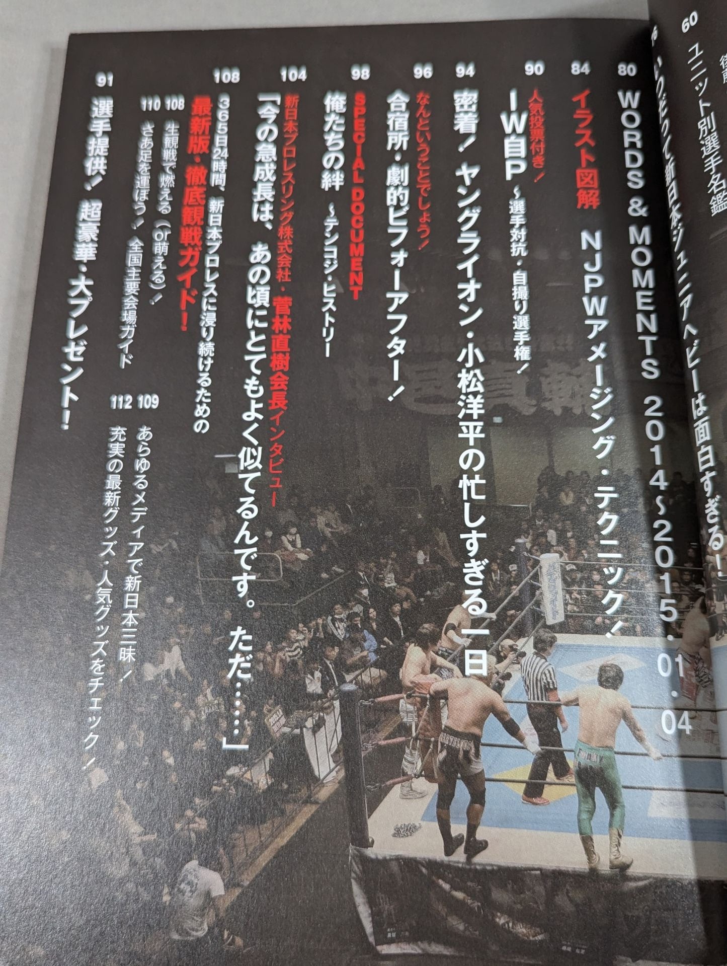 新日本プロレスぴあ2015