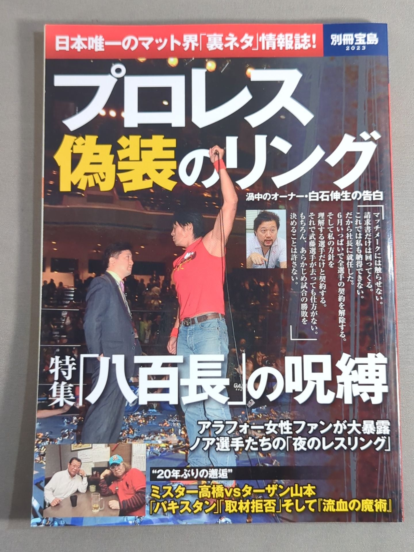別冊宝島2023 プロレス 偽装のリング