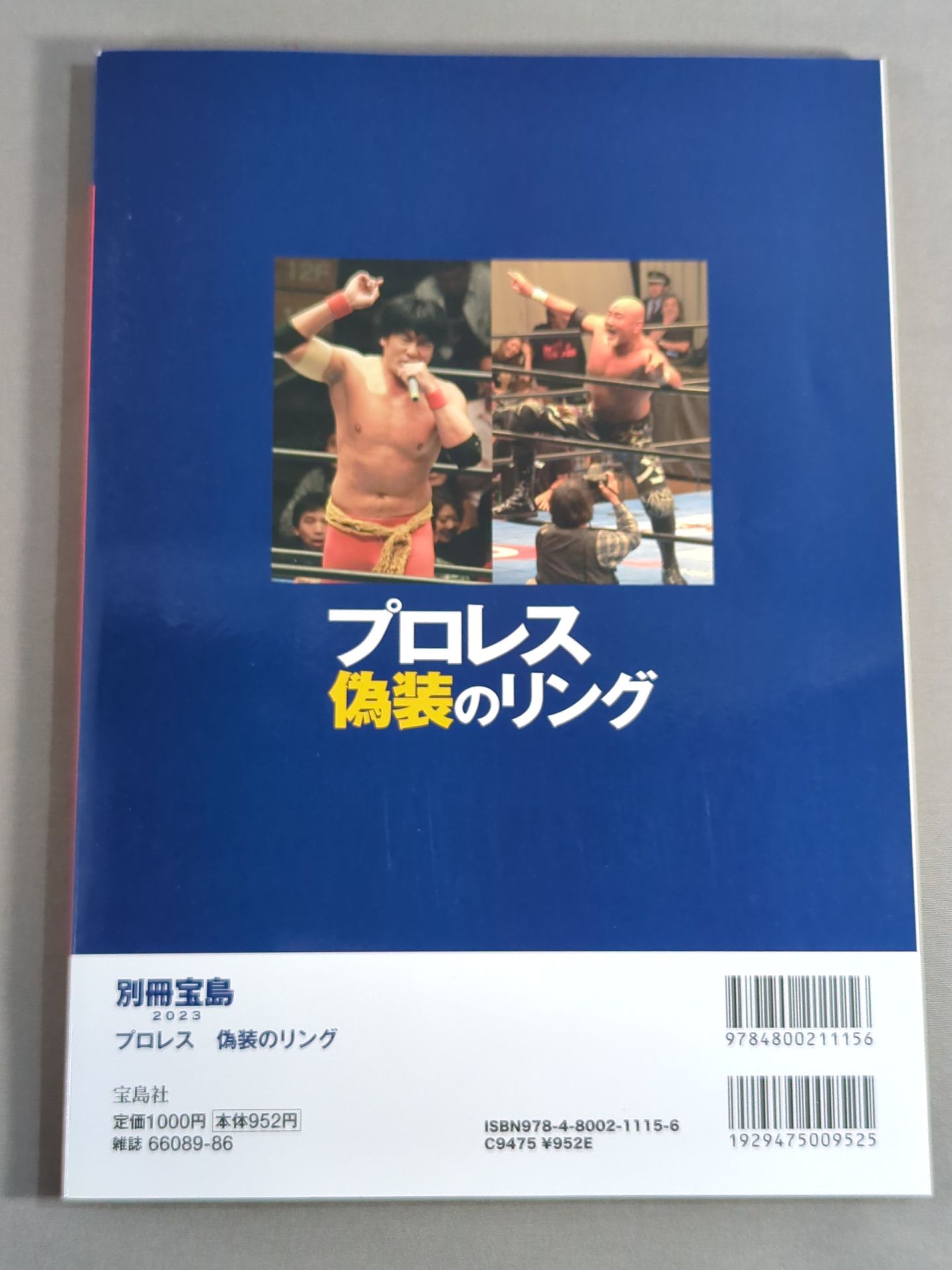 別冊宝島2023 プロレス 偽装のリング