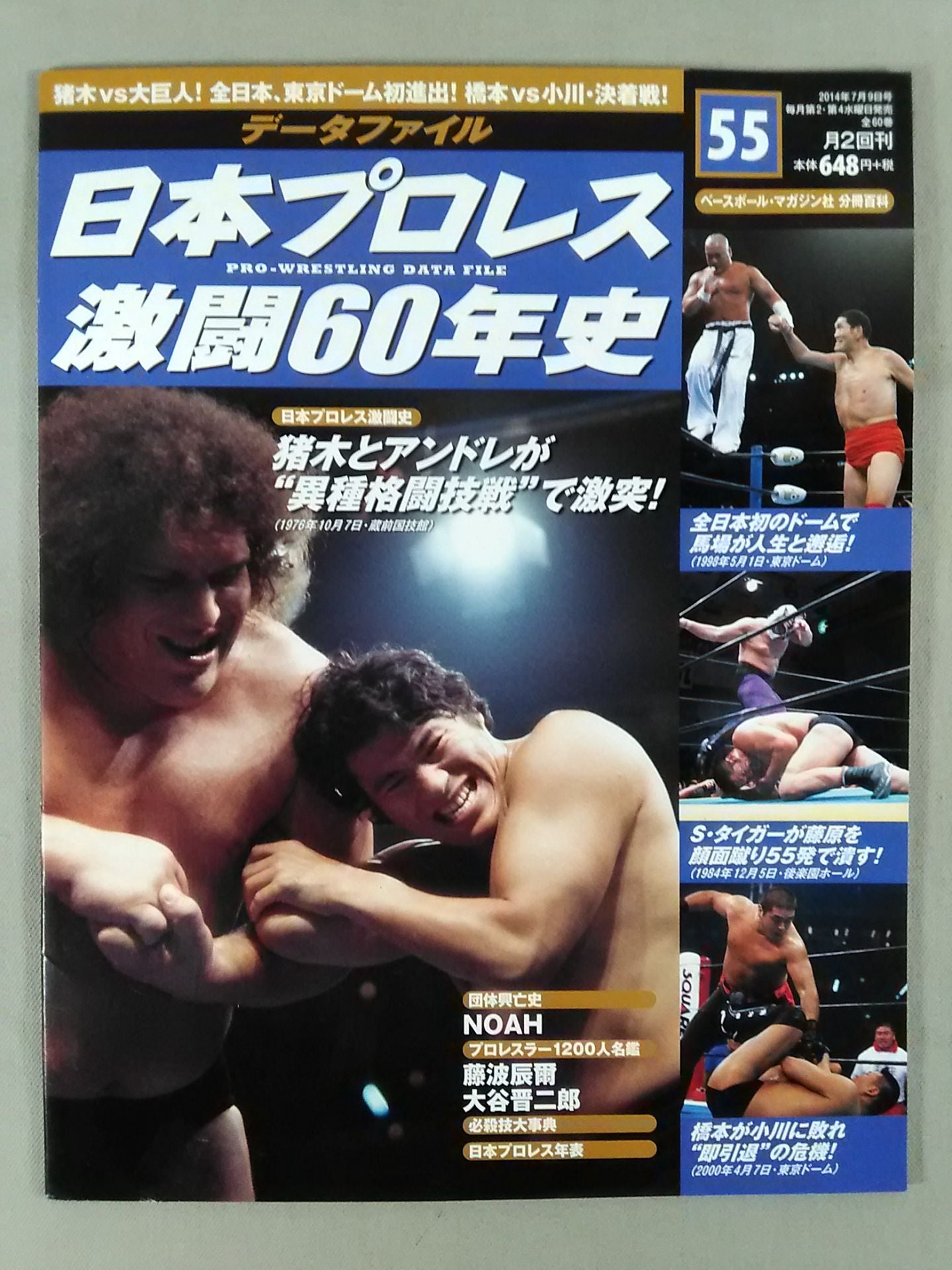 Japan Pro Wrestling 60 Years of Fierce Battle (55)