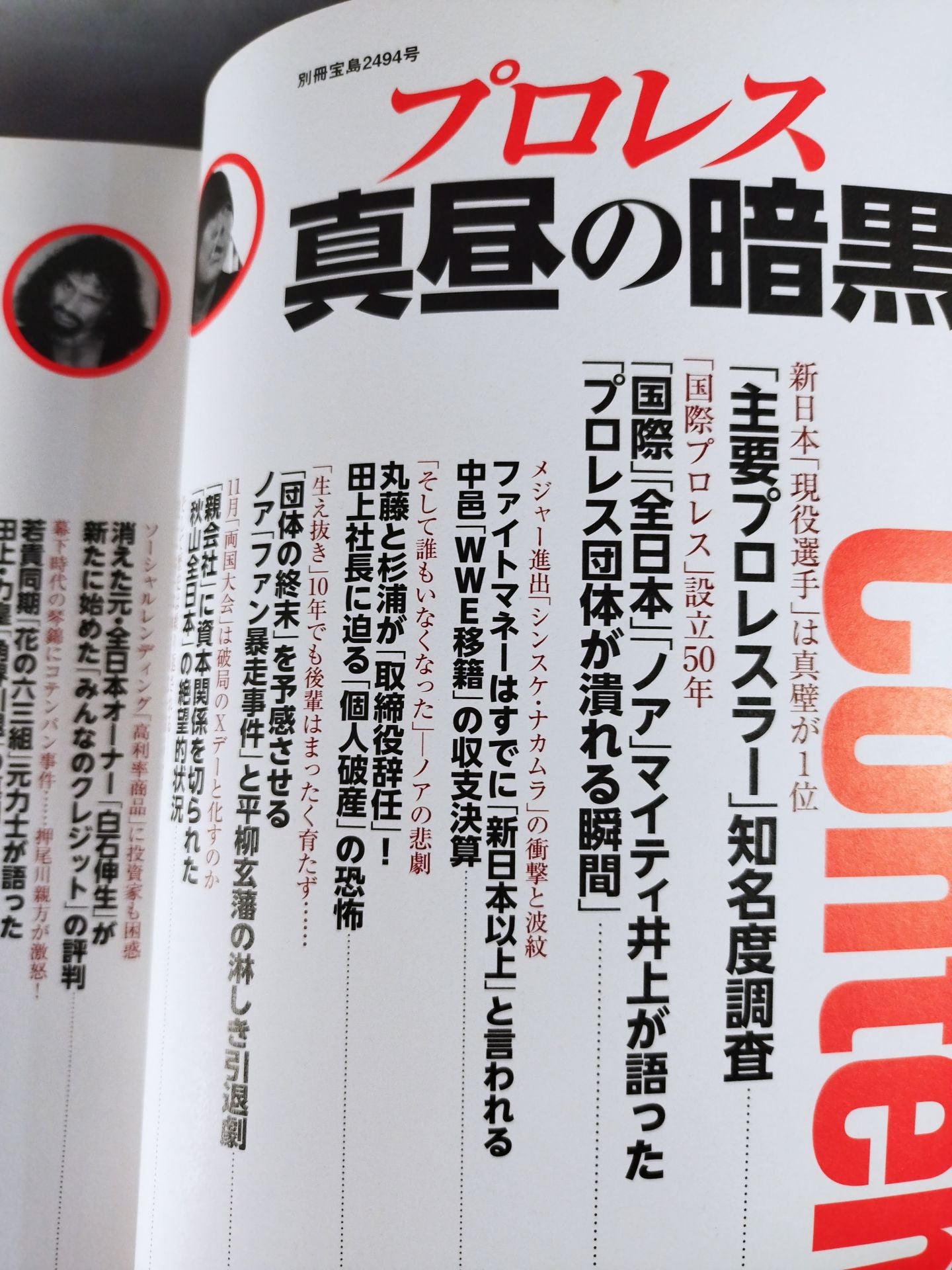 別冊宝島2494 プロレス 真昼の暗黒 2016年版主要レスラー「知名度調査」発表