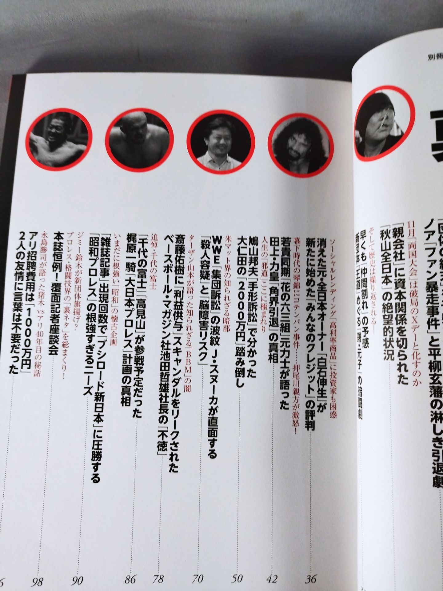 別冊宝島2494 プロレス 真昼の暗黒 2016年版主要レスラー「知名度調査」発表