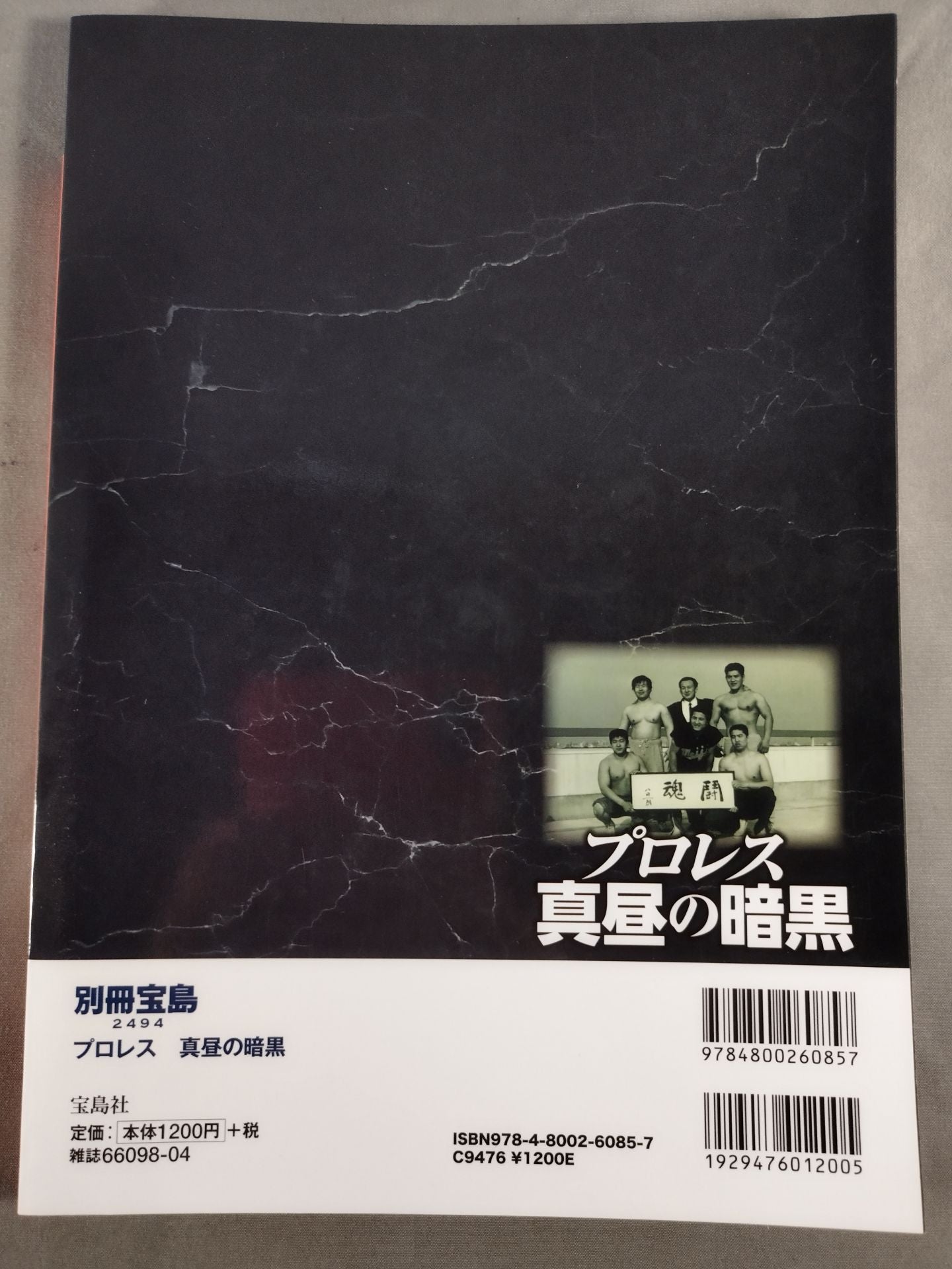 別冊宝島2494 プロレス 真昼の暗黒 2016年版主要レスラー「知名度調査」発表