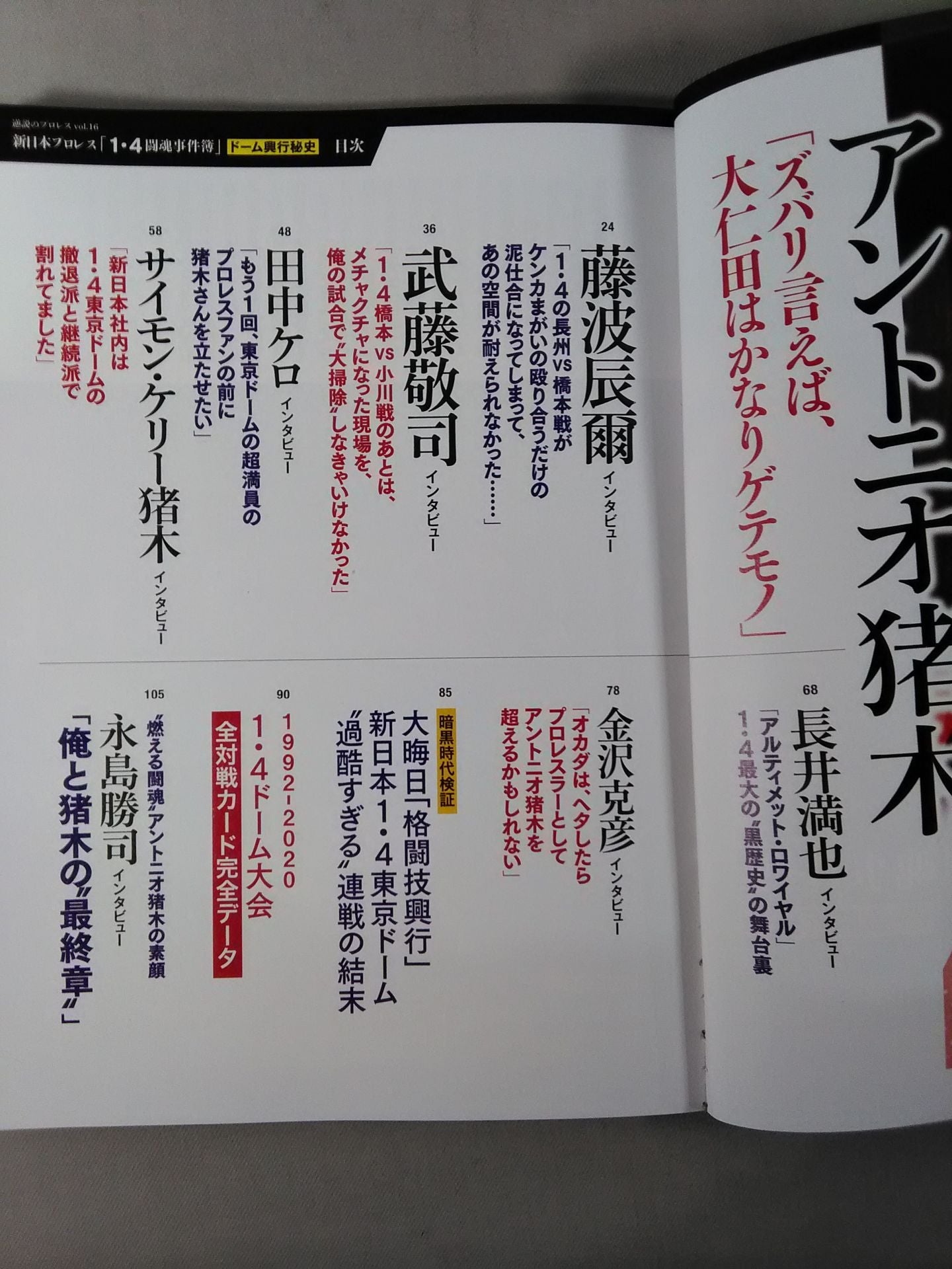 Series Paradoxical Pro Wrestling Vol.16 New Japan Pro Wrestling"1.4 Fighting Spirit Case Files"
