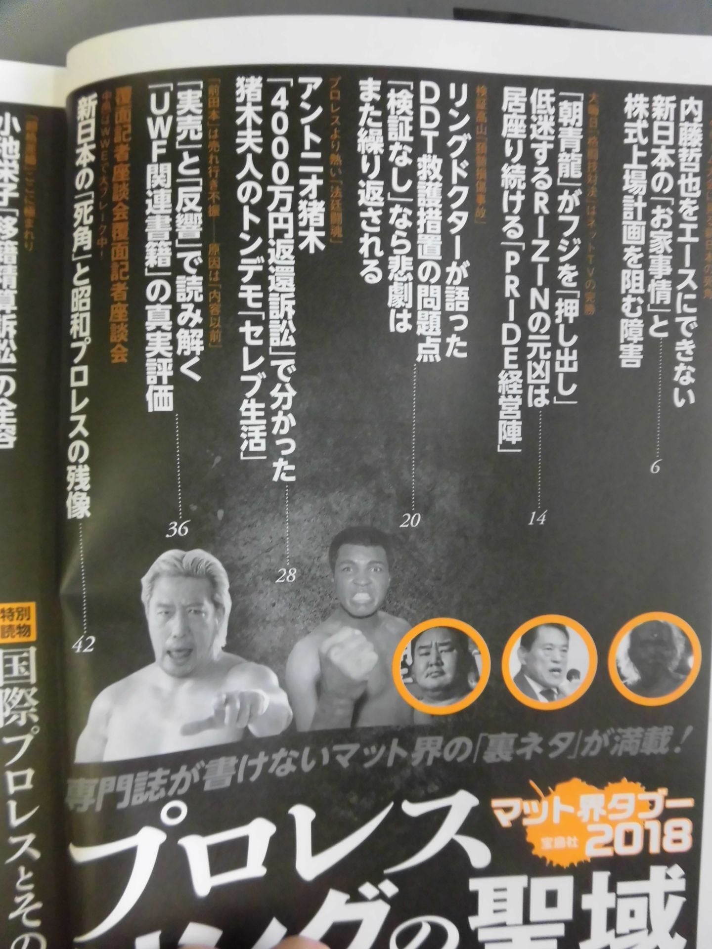 プロレスリングの聖域 専門誌が書けないマット界の「裏ネタ」が満載!