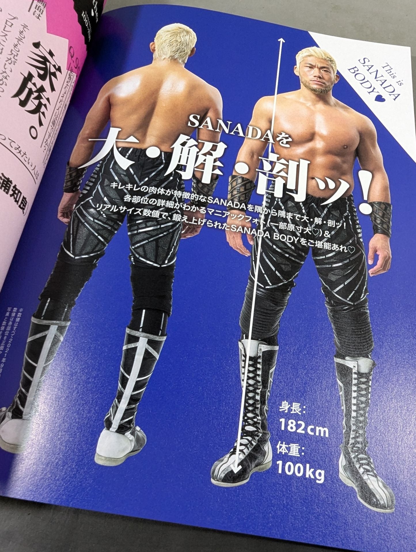 SANADA Style Book GIFT