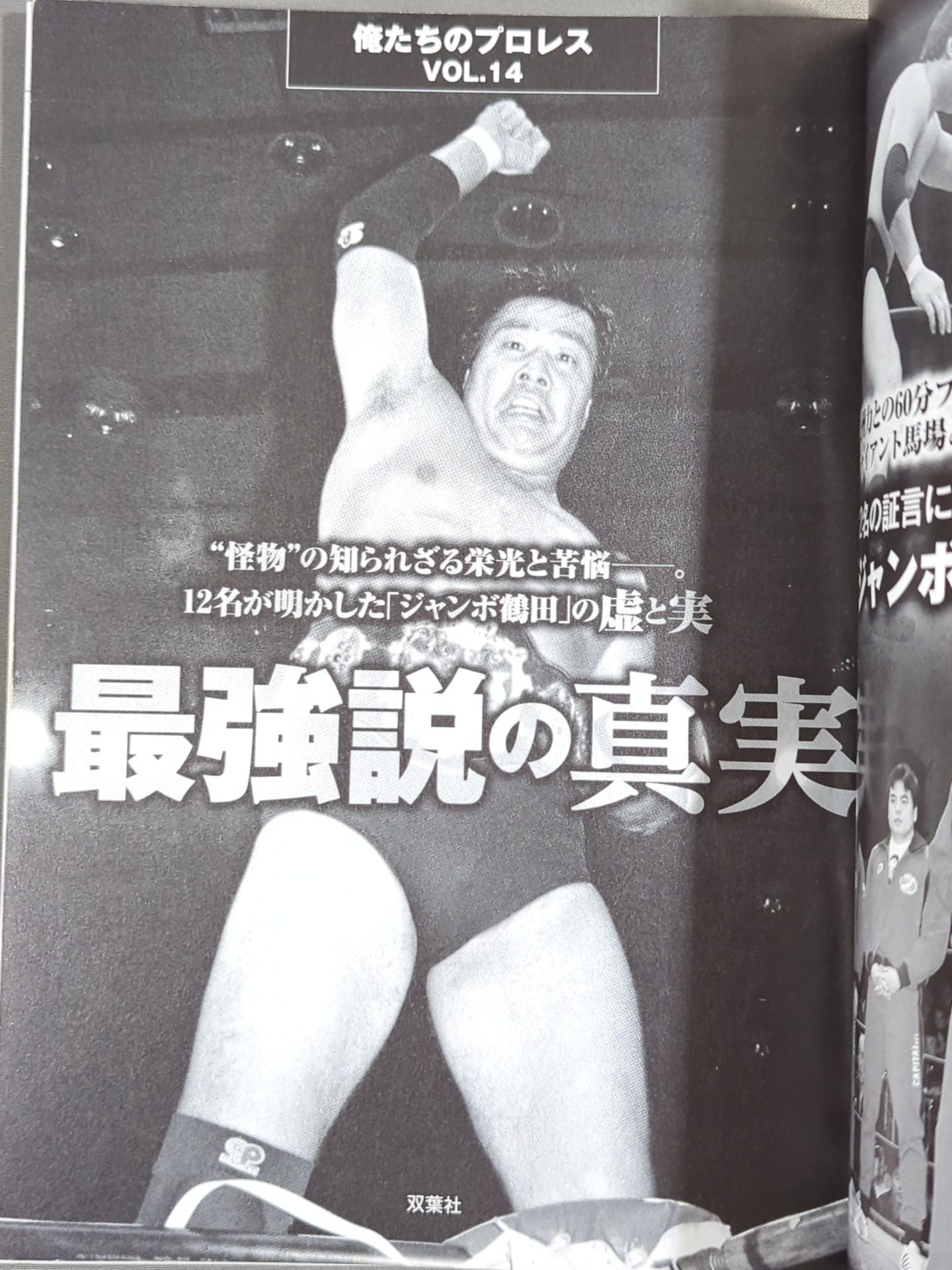 俺たちのプロレス Vol.14 ジャンボ鶴田最強伝説を追う!!