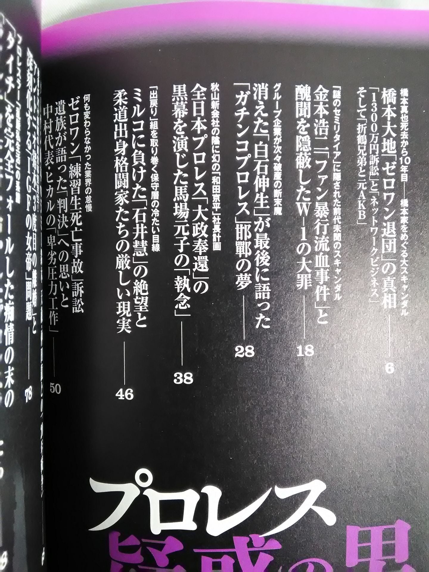 Separate volume Treasure Island 2242 Pro Wrestling The Man of Suspicion The King of Destruction" 10 years after his death - Shura of the Hashimoto family