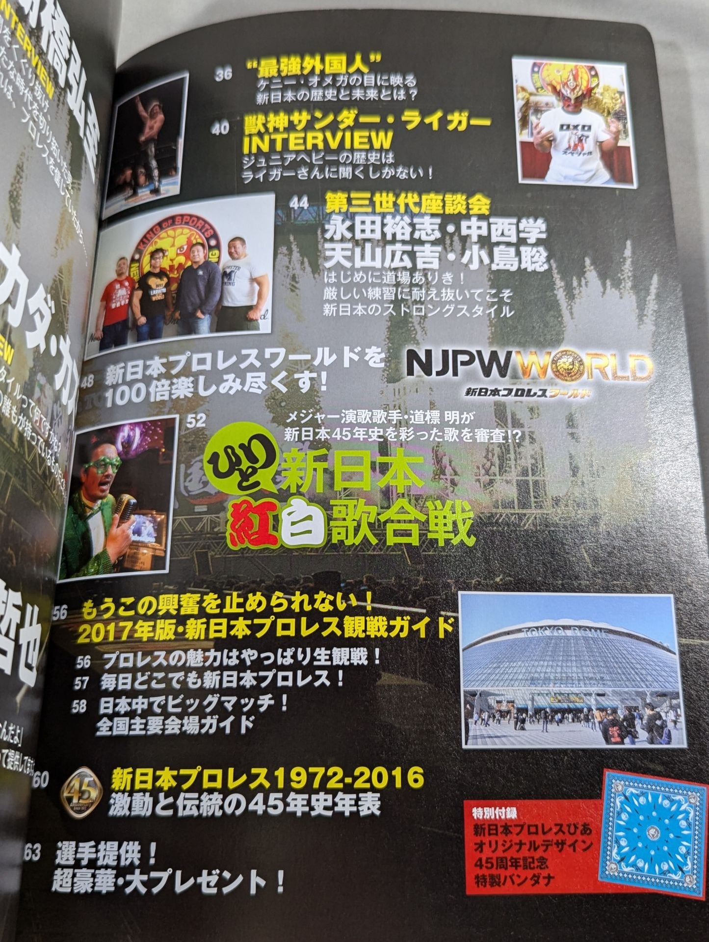 新日本プロレスぴあ2017 45周年メモリアルBOOK