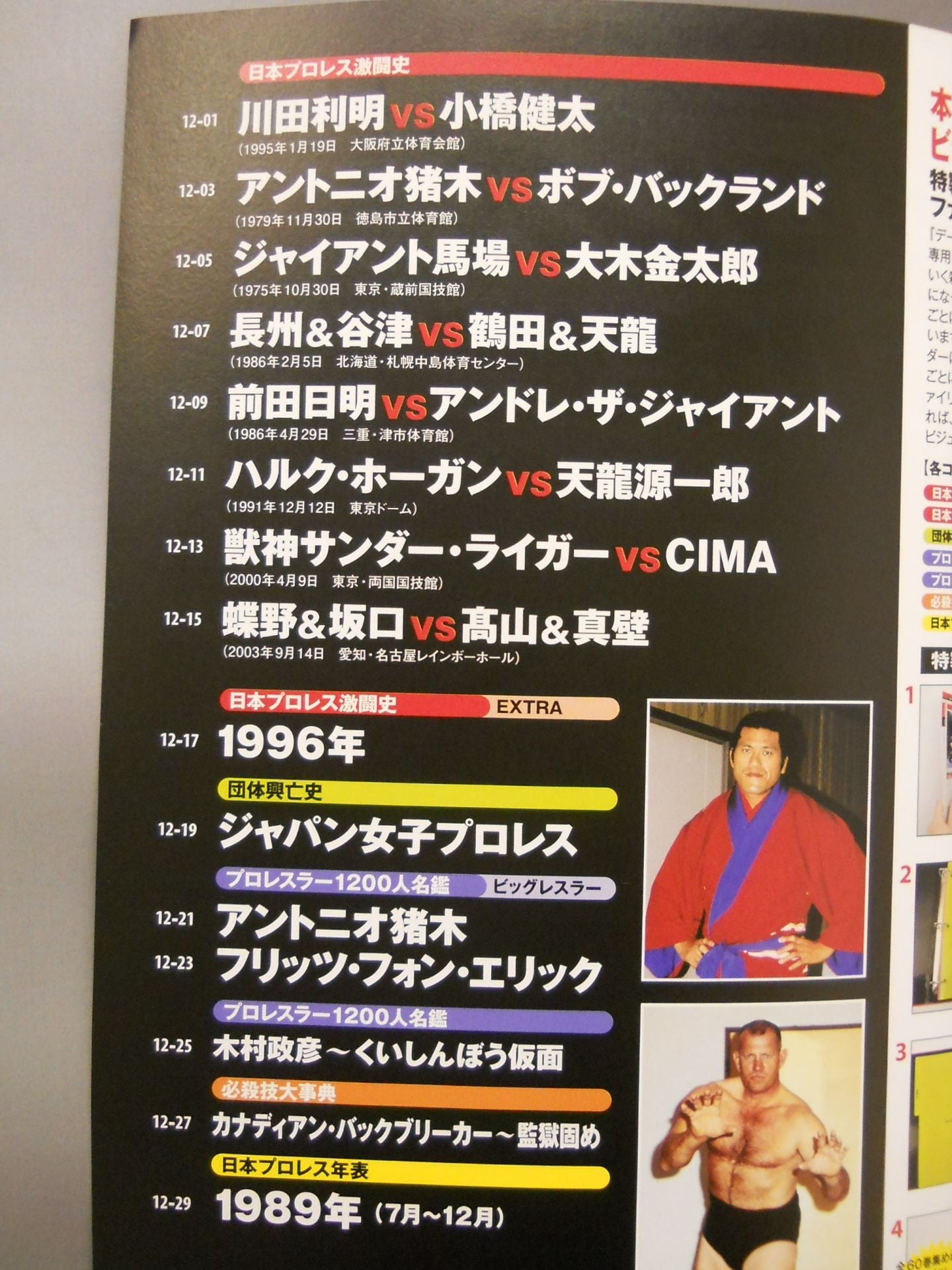 日本プロレス激闘60年史 (12)