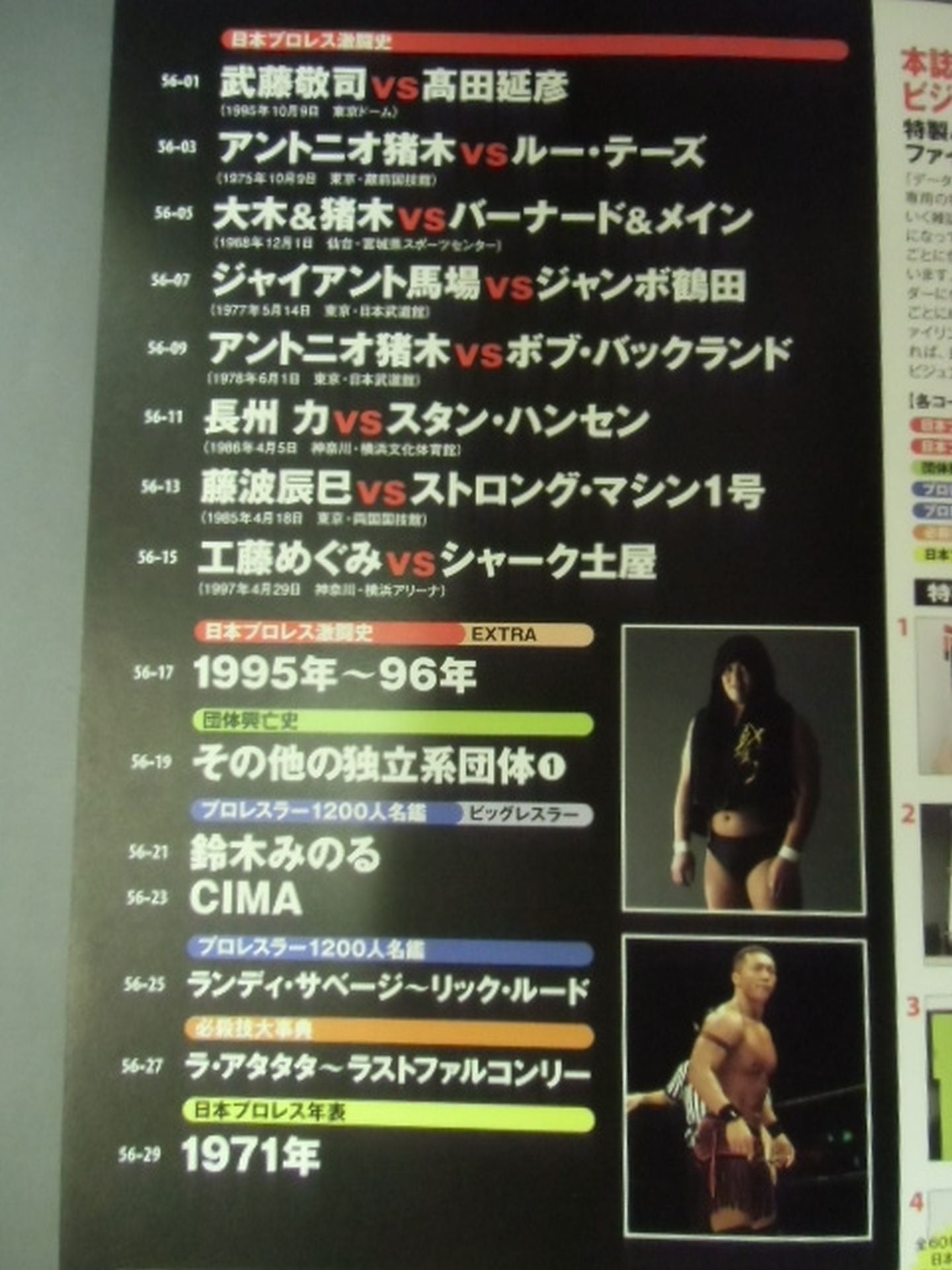 日本プロレス激闘60年史 (56)