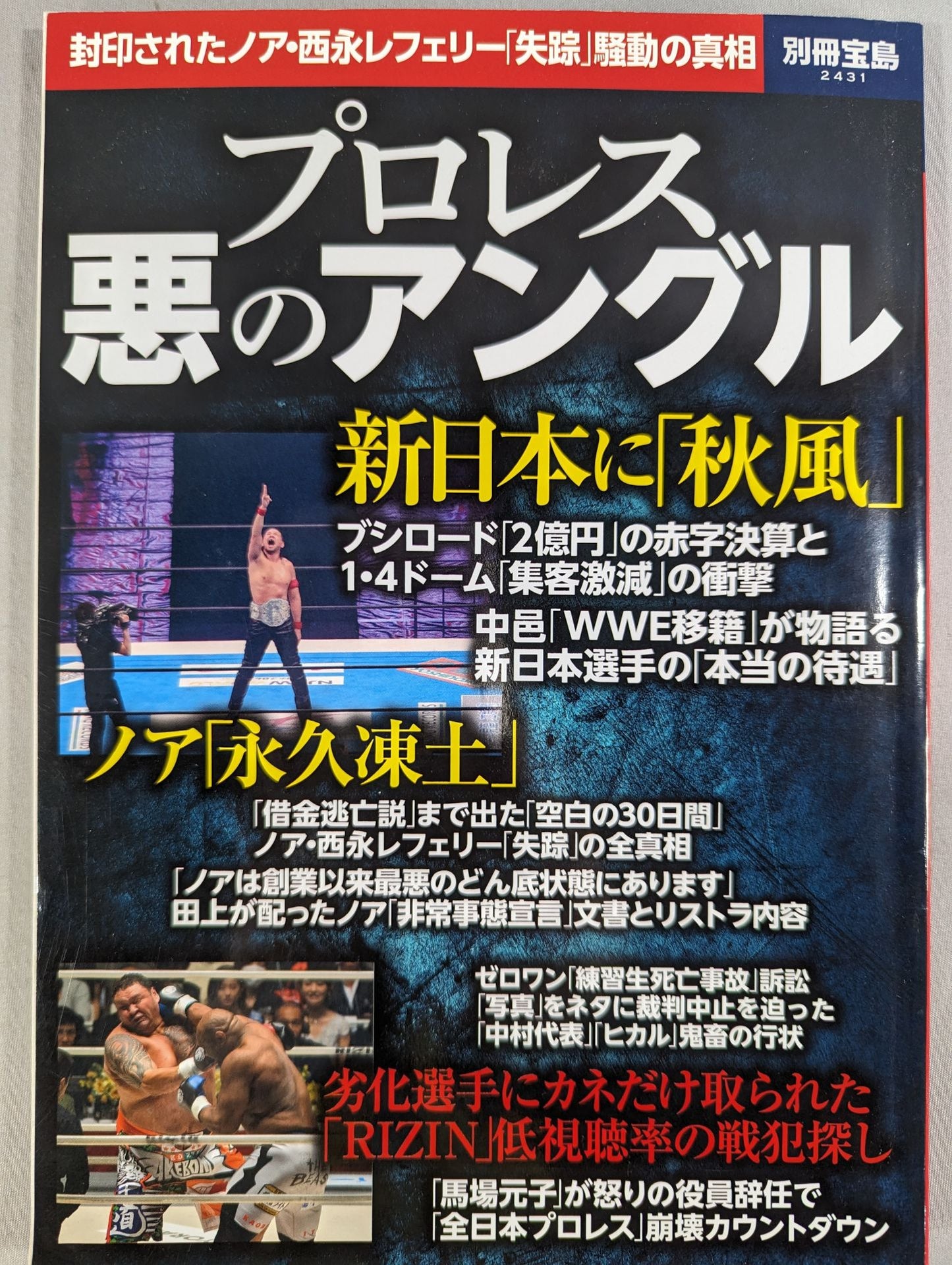 別冊宝島2431 プロレス 悪のアングル 封印されたノア・西永レフェリー失踪騒動の真相