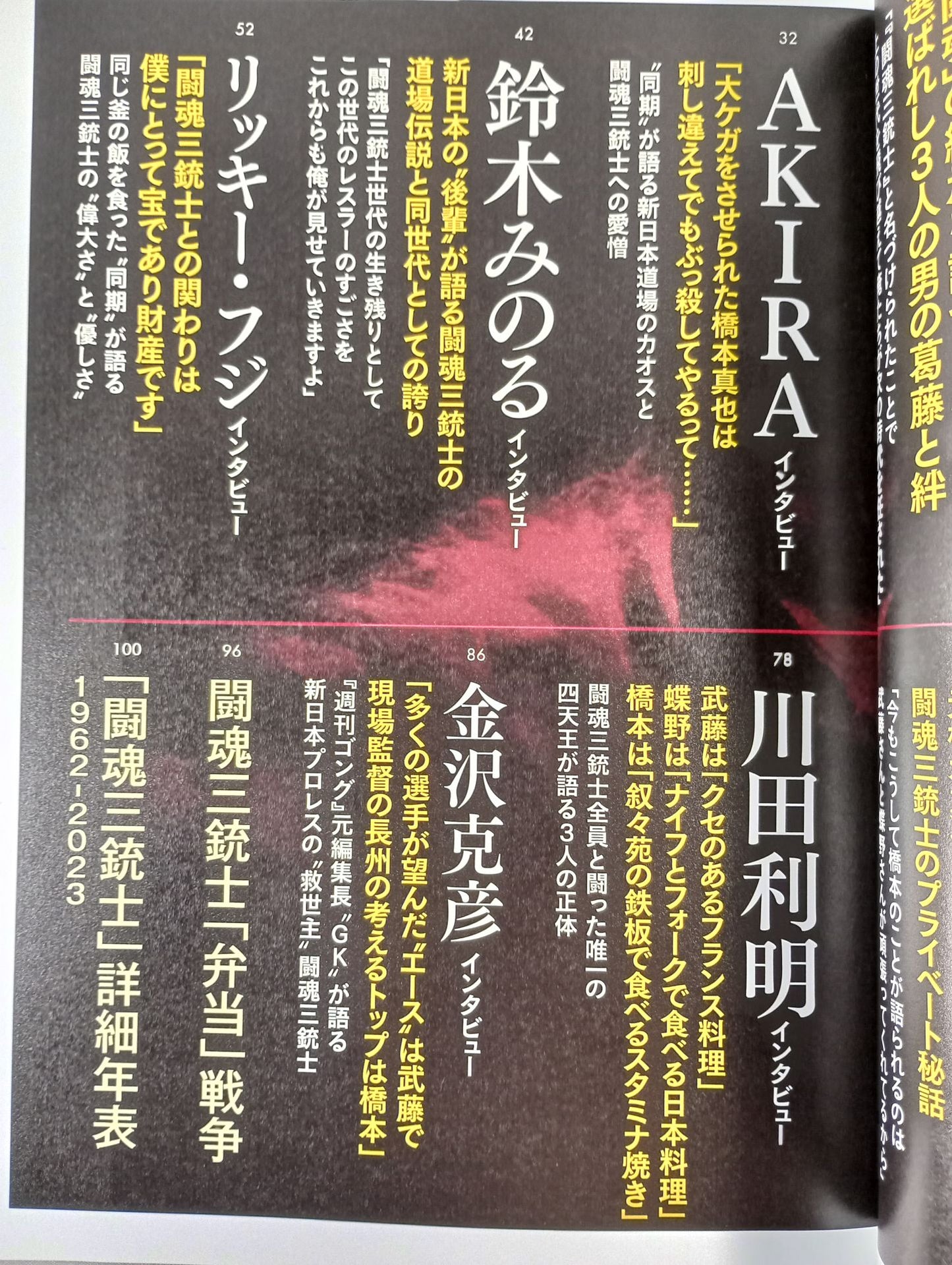 Series Paradoxical Pro Wrestling Vol.23 Confession of the 35th Year of the Revived Golden Age "The Three Musketeers of Love and Hate"