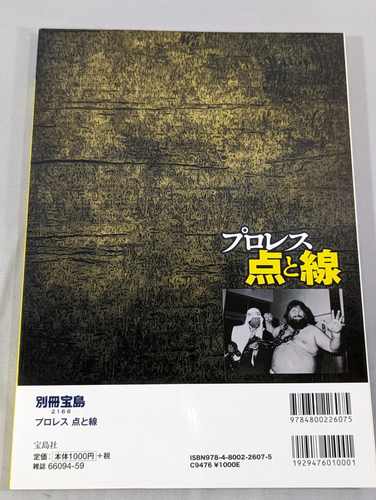Separate volume Takarashima 2166 Pro Wrestling Dots and Lines Noah Ryu Noah Nakata Former GM's sudden death and "The End of the Ark"