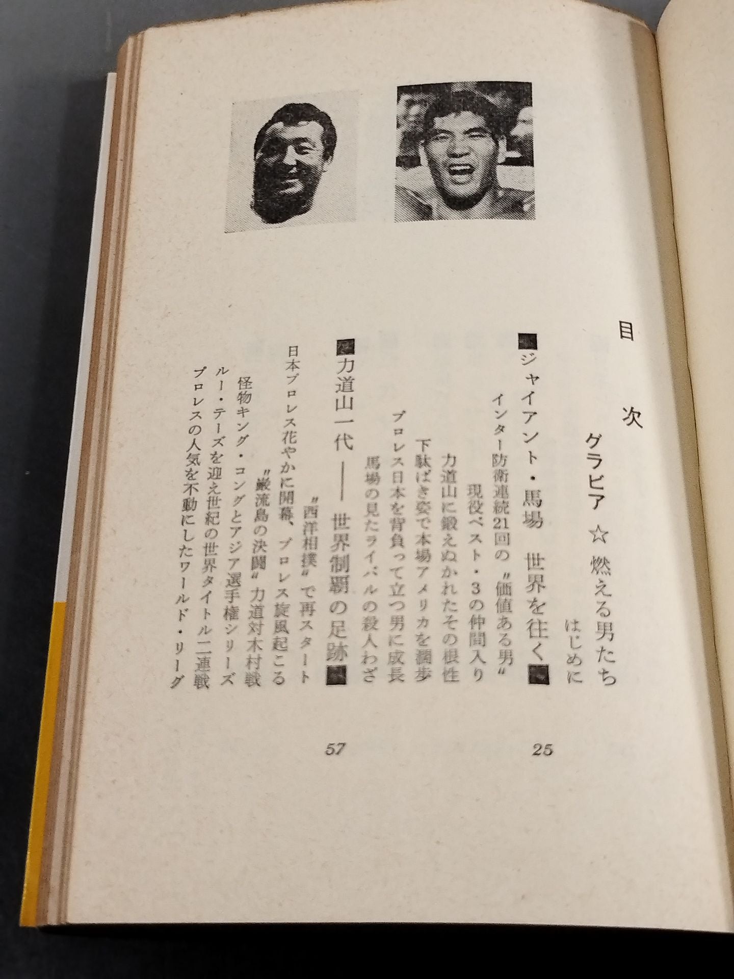 プロレス血風録 世界を制覇する怒涛の男たち