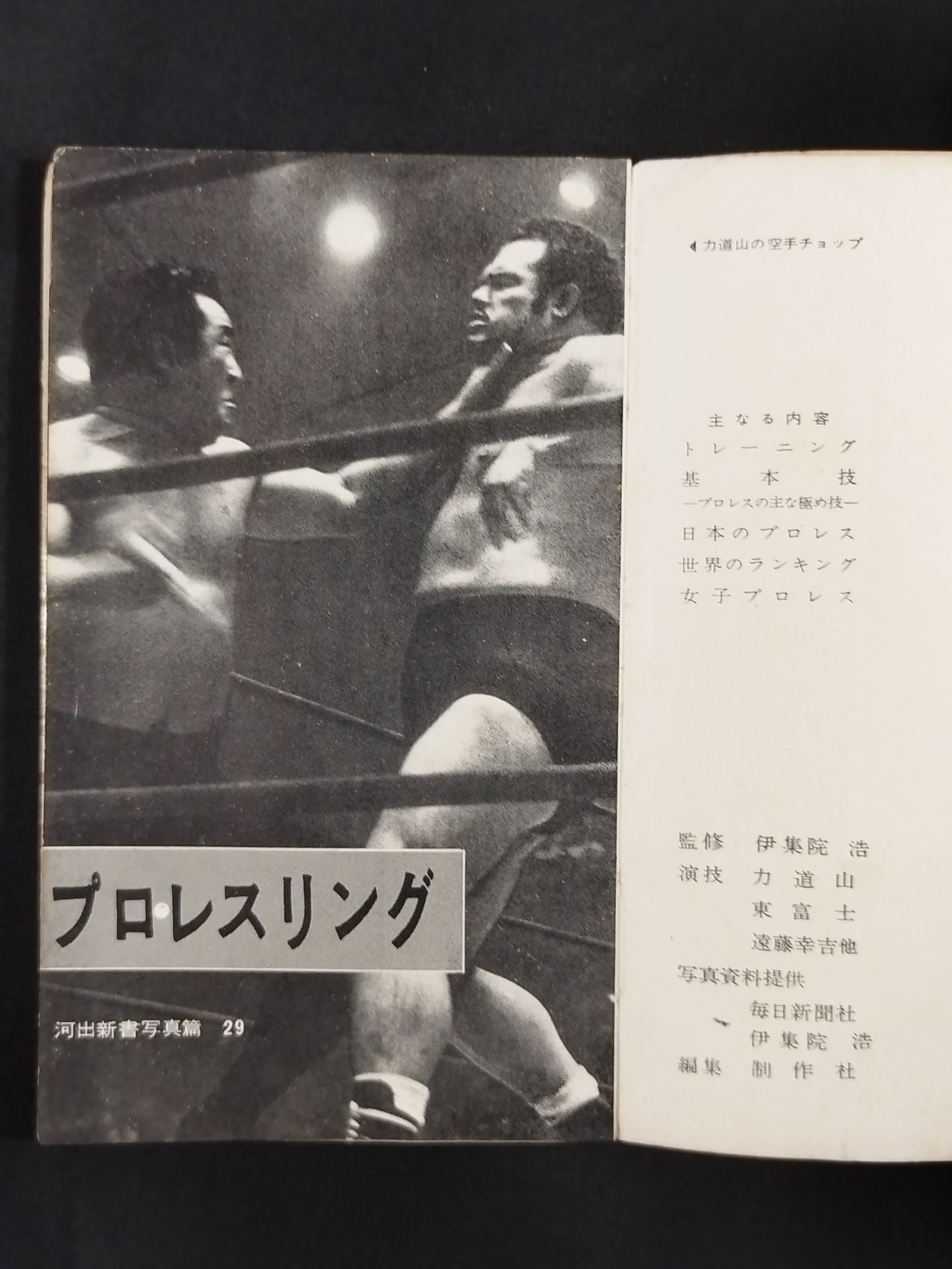 プロ・レスリング ルールとテクニック百科