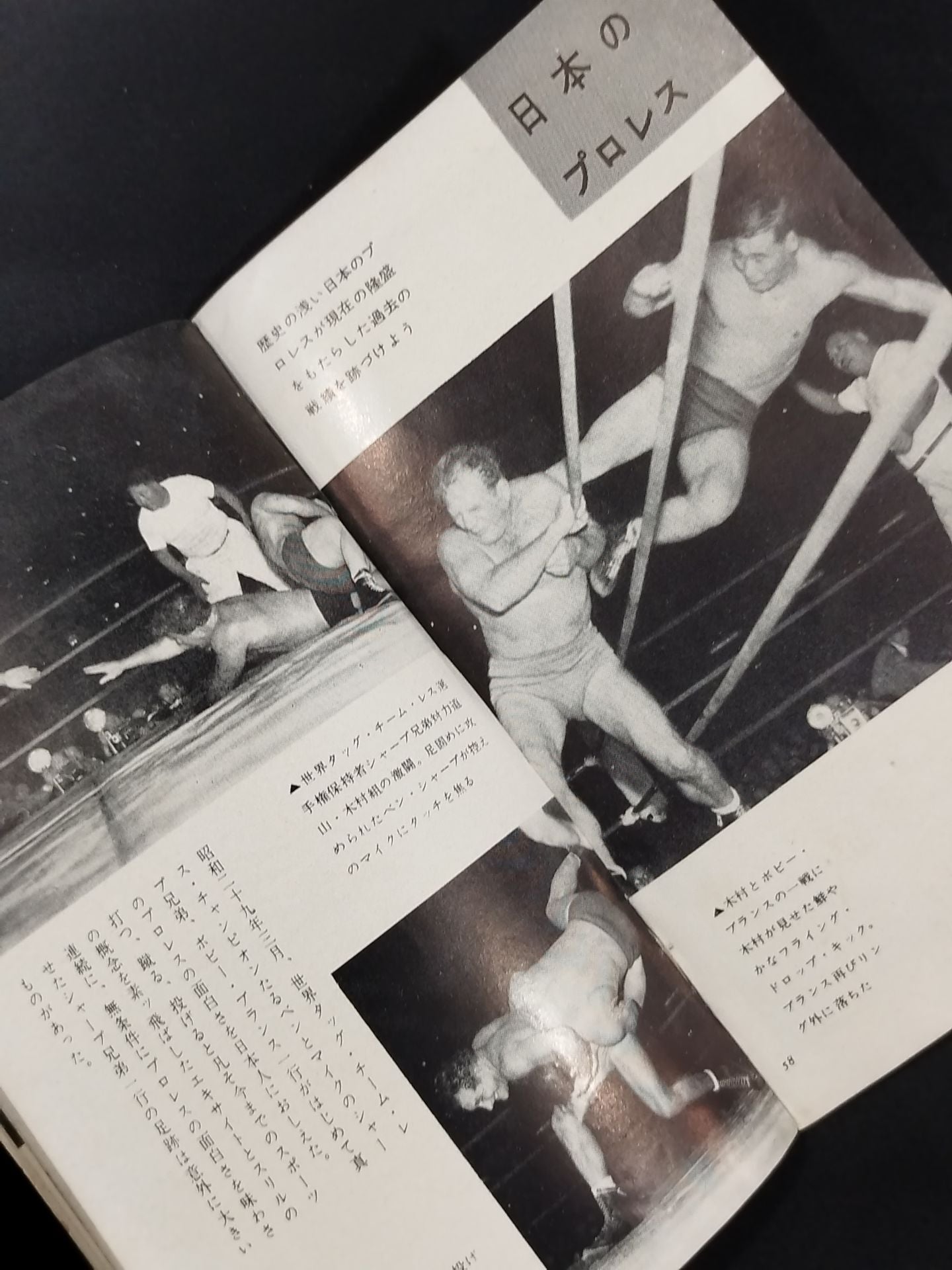 プロ・レスリング ルールとテクニック百科