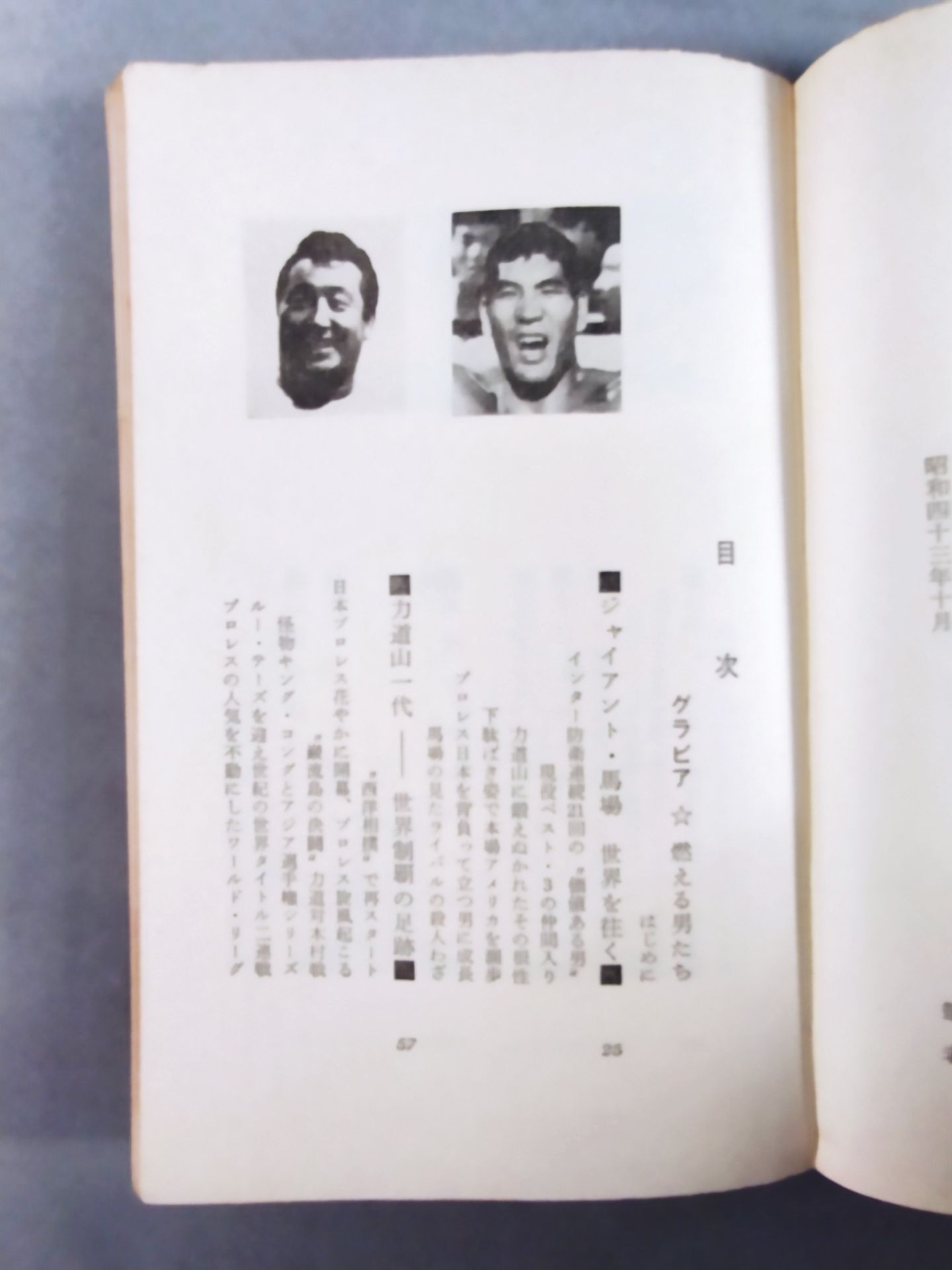 プロレス血風録 世界を制覇する怒涛の男たち