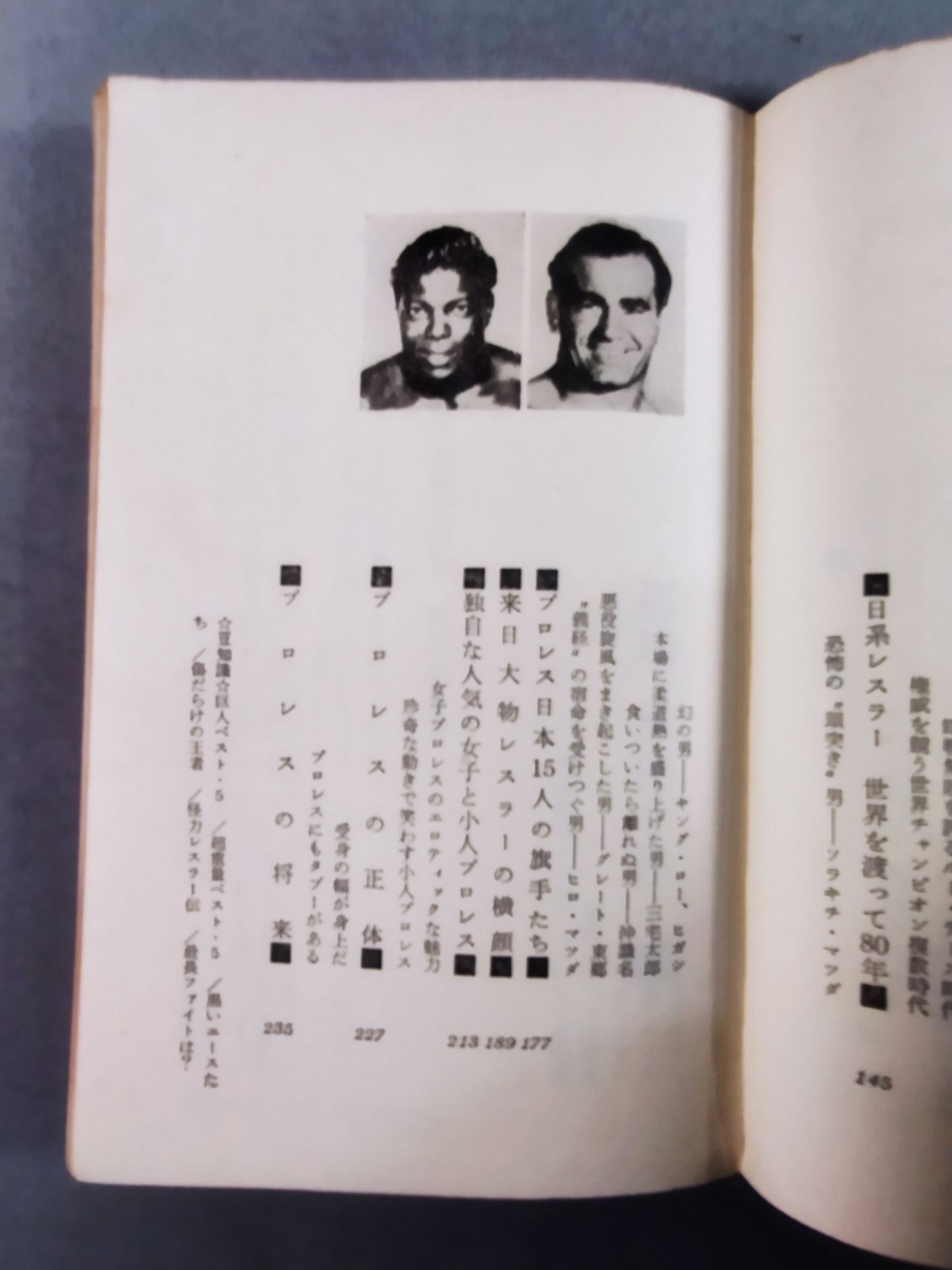 プロレス血風録 世界を制覇する怒涛の男たち