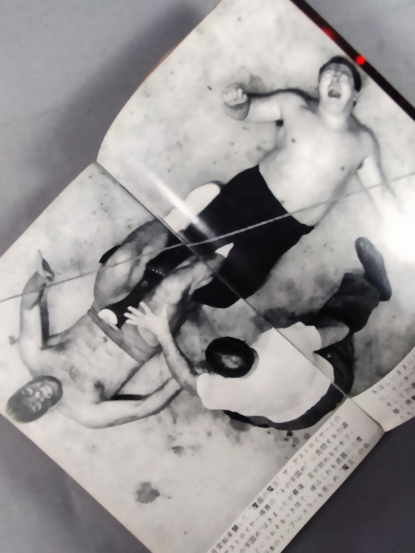 プロレス血風録 世界を制覇する怒涛の男たち