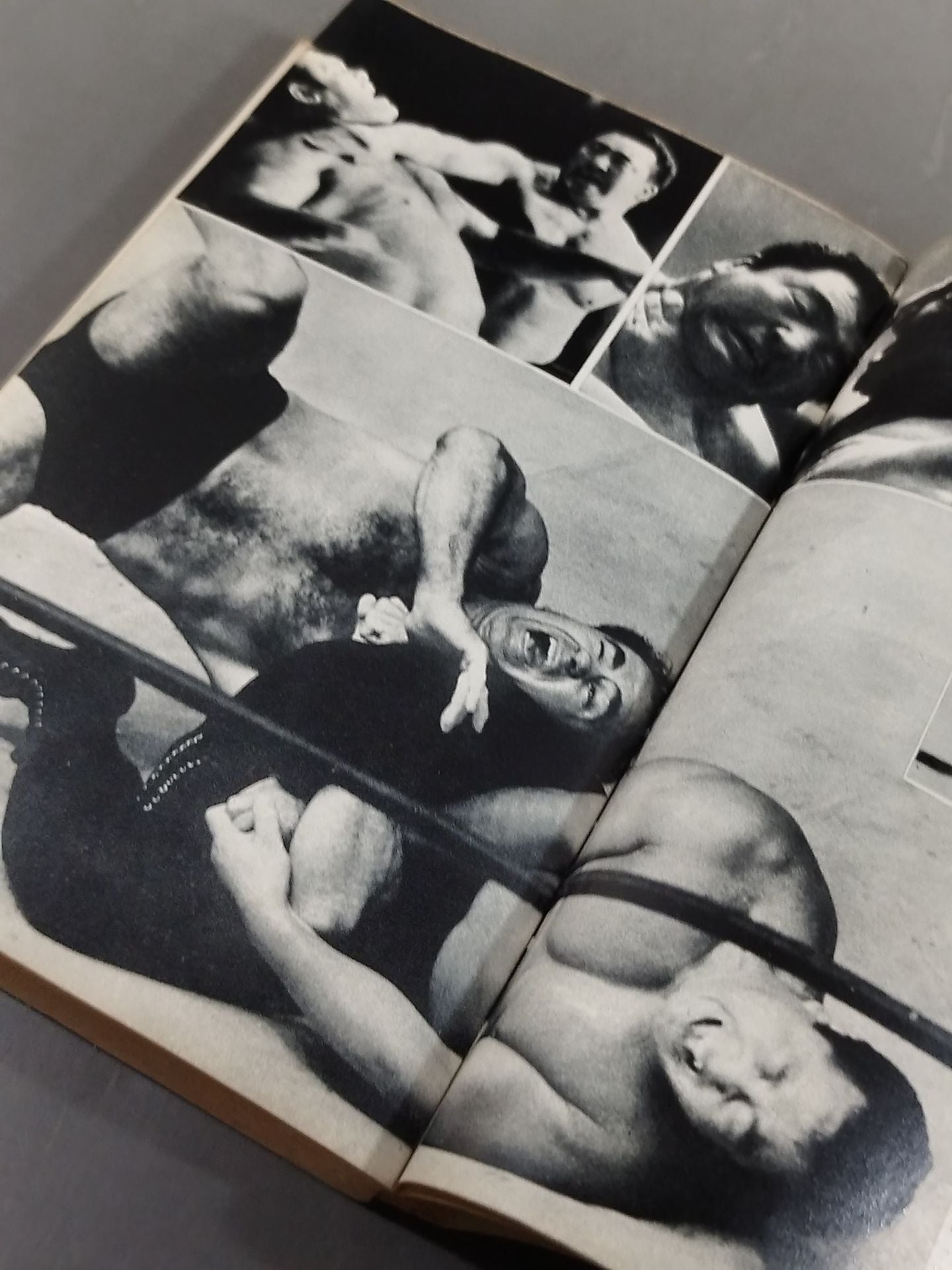 プロレス血風録 世界を制覇する怒涛の男たち